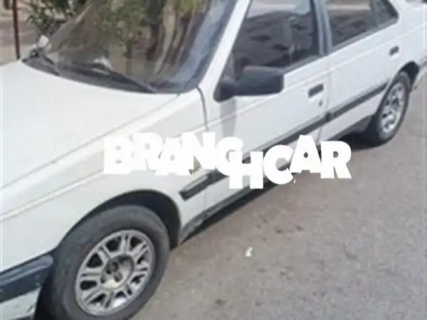 بيجو 405 مميزة للبيع -  سعر مغرٍ! (موديل 1992، بحالة ممتازة)
