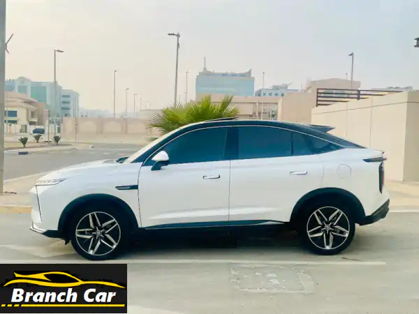 MG WHALE 2025 فاخرة - إصدار محدود! (20,500 كم فقط!)