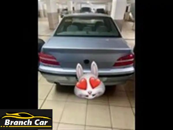 بيجو 406 مميزة - كلاسيكية أنيقة وعملية! (بوية فابريك)