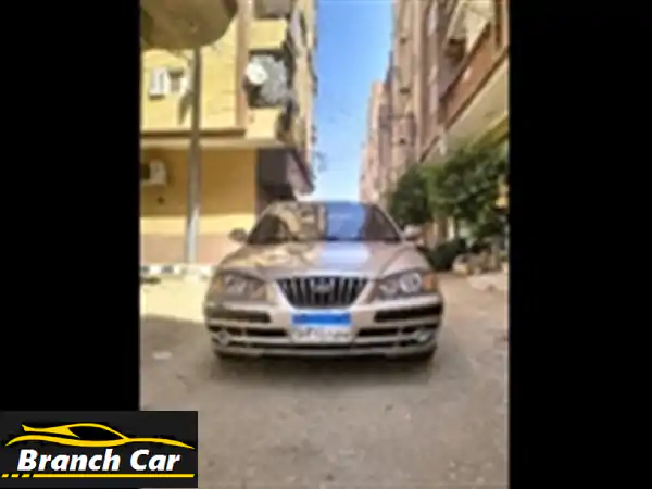 هيونداي إلنترا 2006 -  الأسد الموثوق! (فبريكة،...