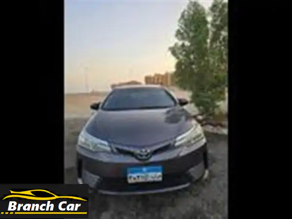 تويوتا كورولا 2019 ✨ بحالة ممتازة - الغردقة |...