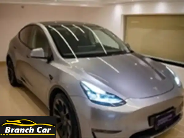 تسلا Model Y 2023 - كالجديدة! مدى 500 كم + حماية كاملة
