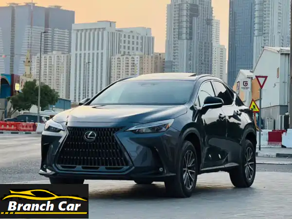 لكزس NX 350 موديل 2023 | دفع رباعي، حزمة رياضية، سقف بانورامي | رمادي أمريكي، 16 ألف ميل فقط! (88,000 درهم)