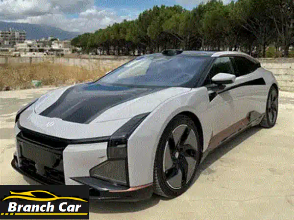futuristic car only 1 in lebanon