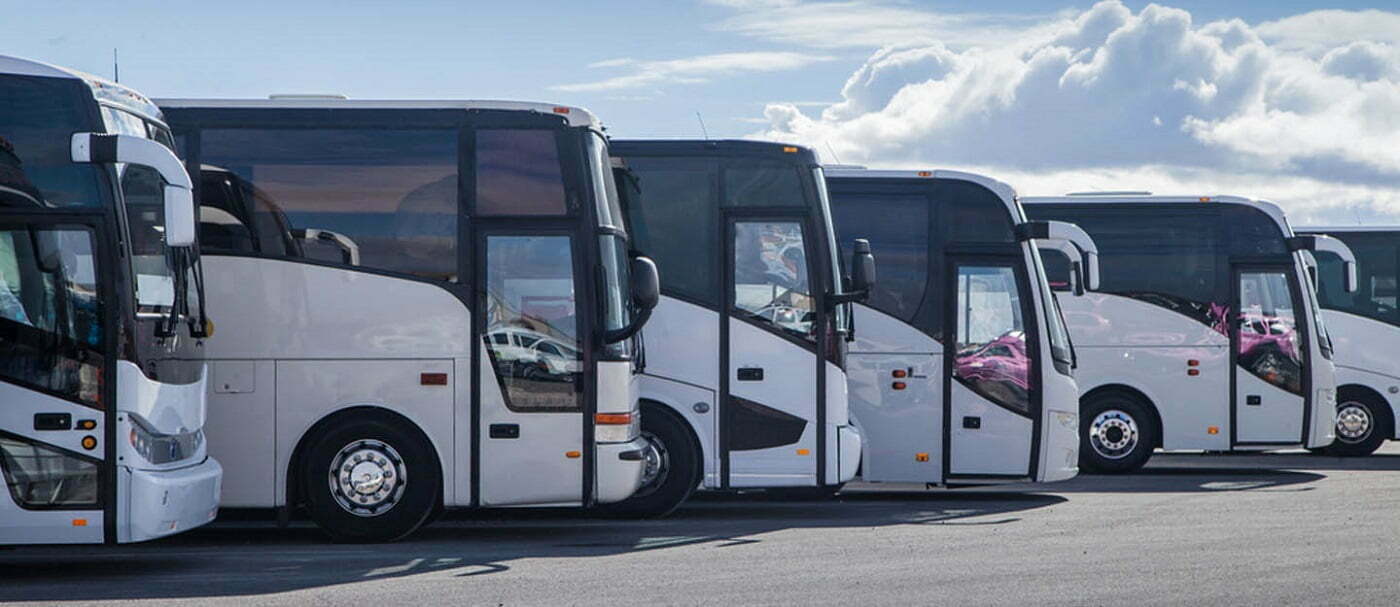 🚌 إيجار أتوبيس مرسيدس لرحلات العين السخنة | أتوبيس...