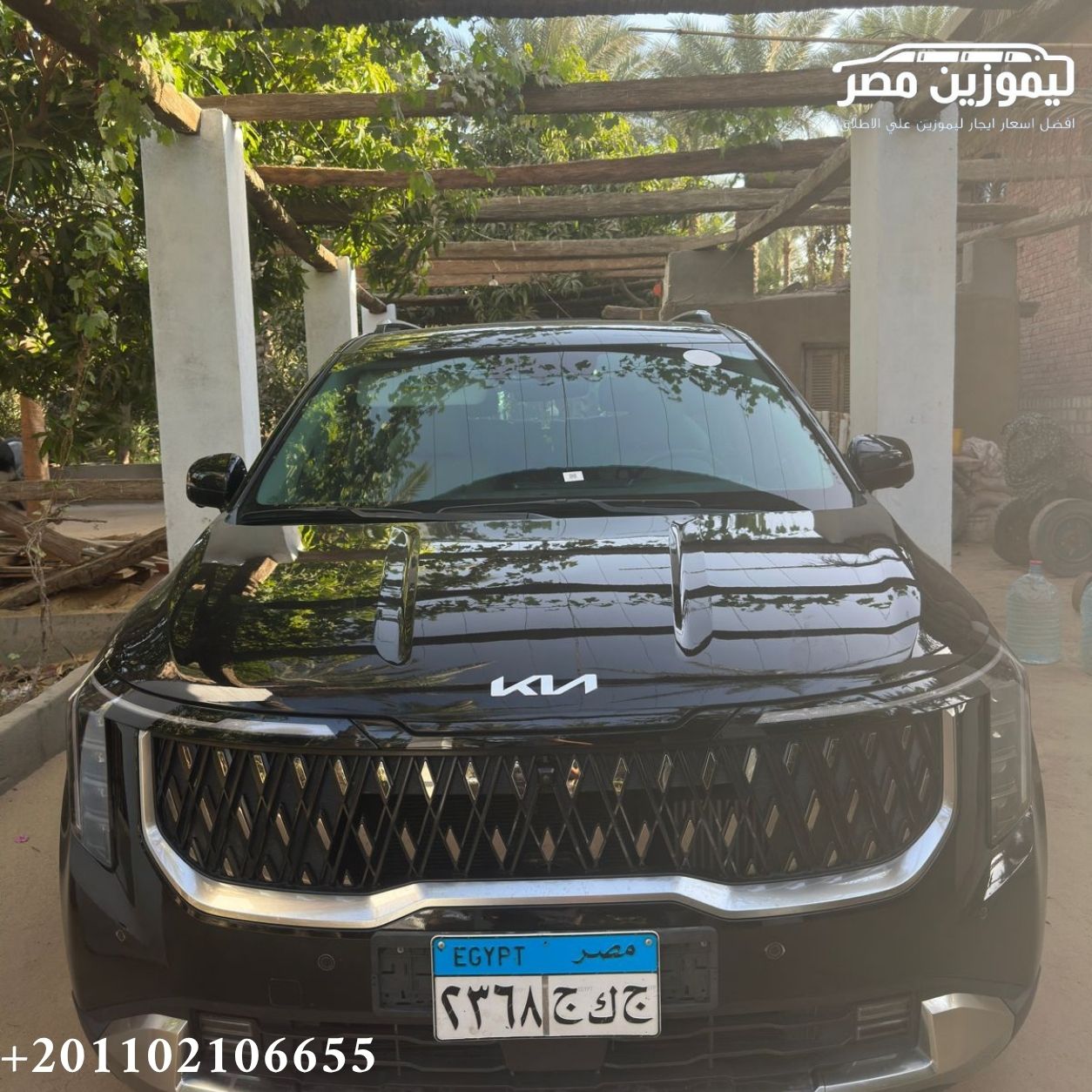 🚐 Kia Carnival 9-Seater Rental with Chauffeur | Maadi to Rixos Sharm El Sheikh