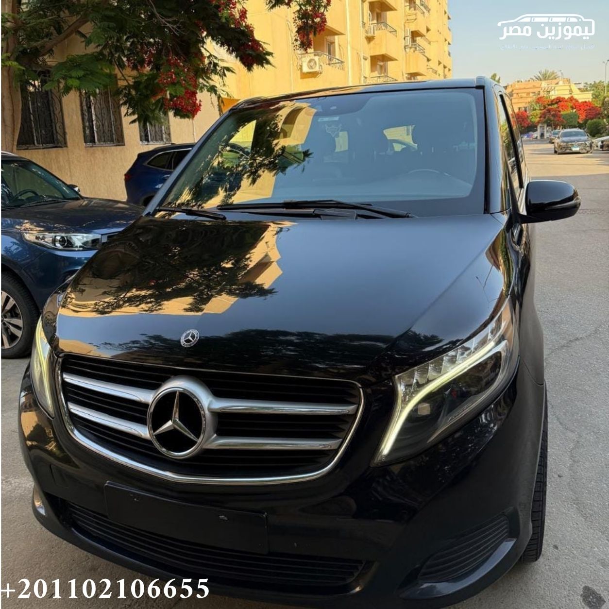 🚐 Mercedes Viano 7-Seater Rental with Chauffeur | New Capital to Dahab