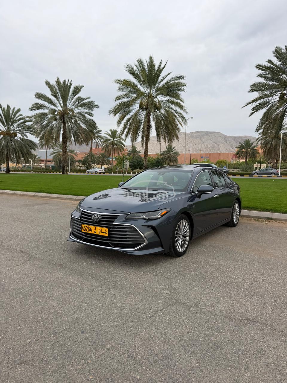نيسان باترول 2019 للبيع الغبرة