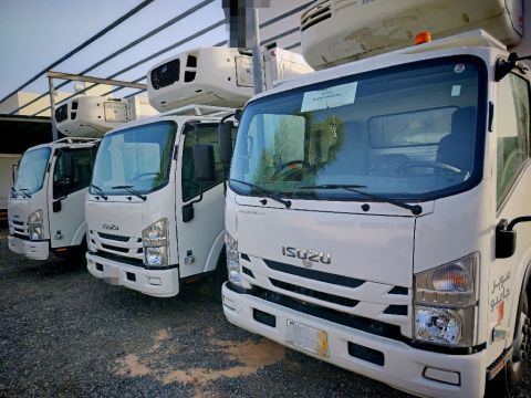 تأجير سيارات في منطقة عسير السعودية