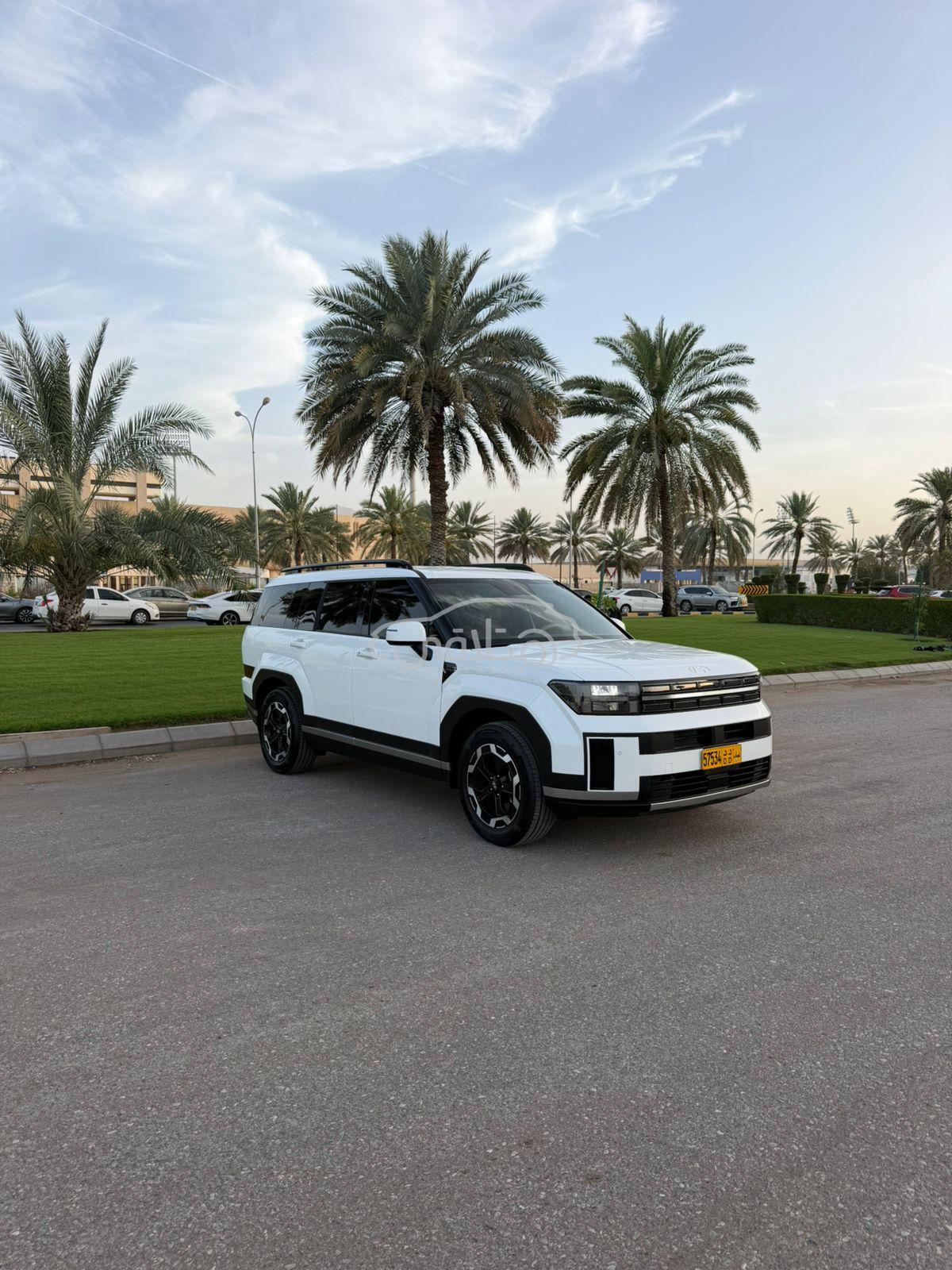 هيونداي سانتافى 2025 للبيع الغبرة