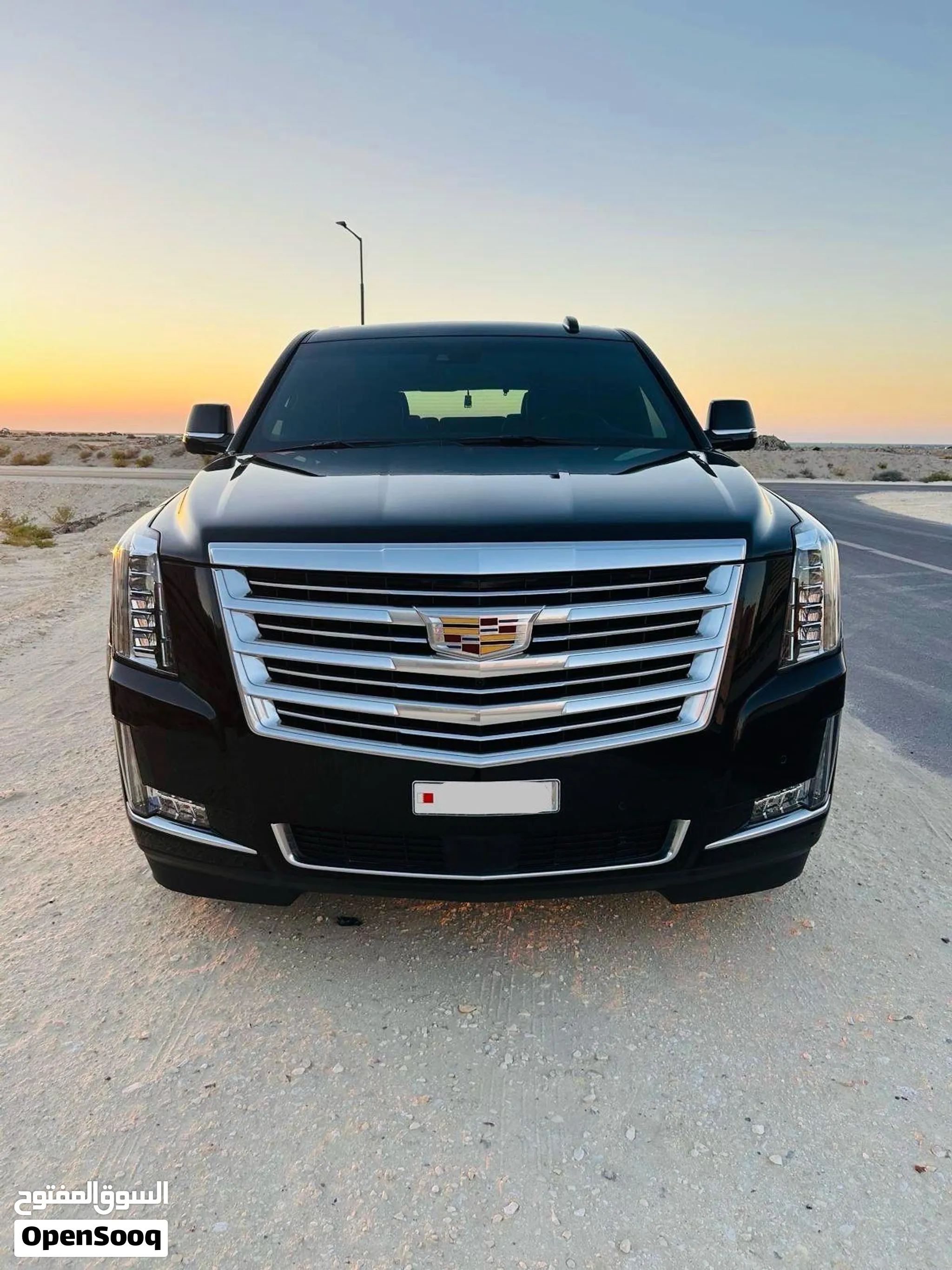 Cadillac Escalade 2019 Platinum Only 23,000 KM GCC 1 Owner Excellent Condition