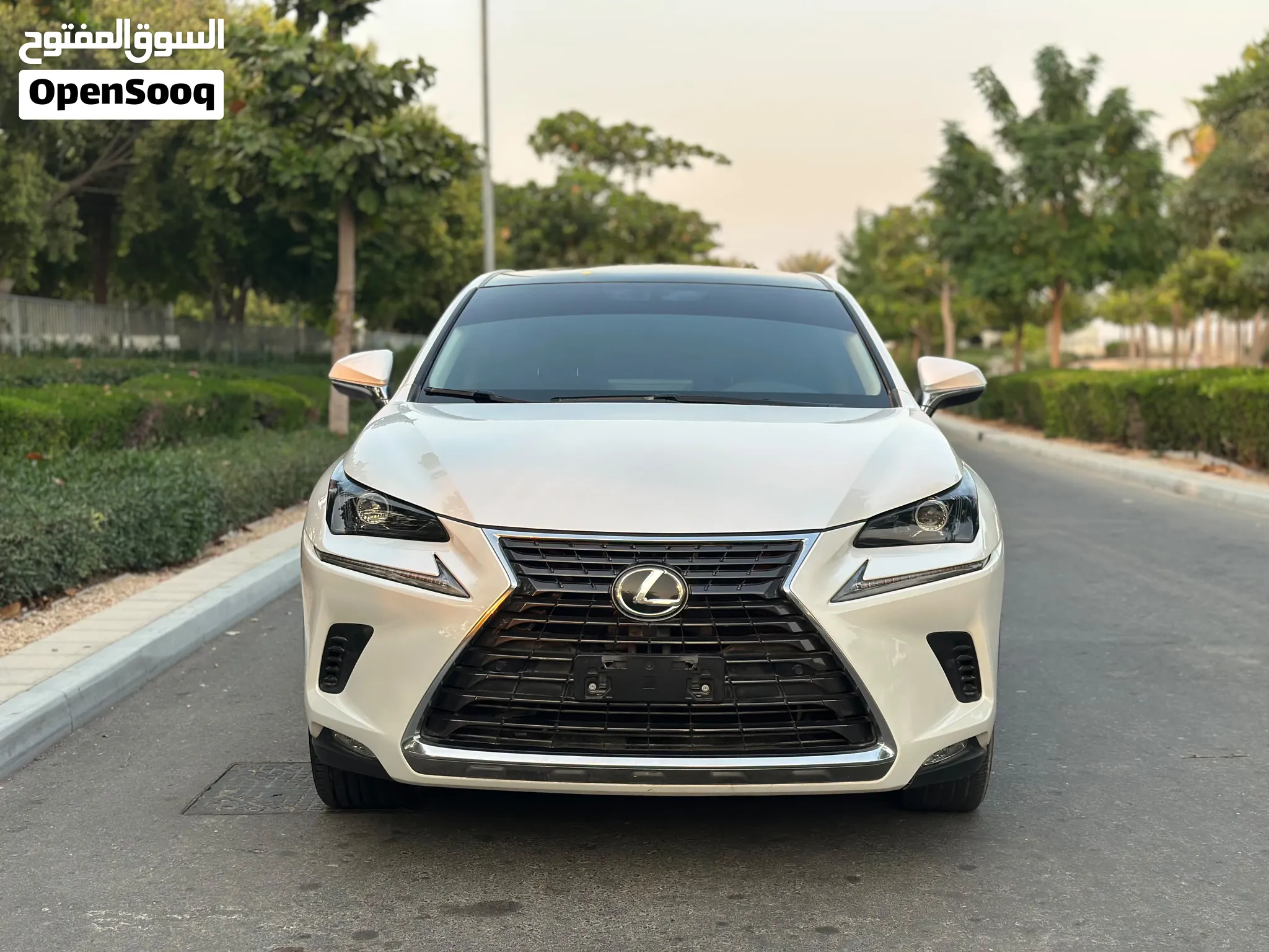 Lexus NX 300 full option GCC model 2021