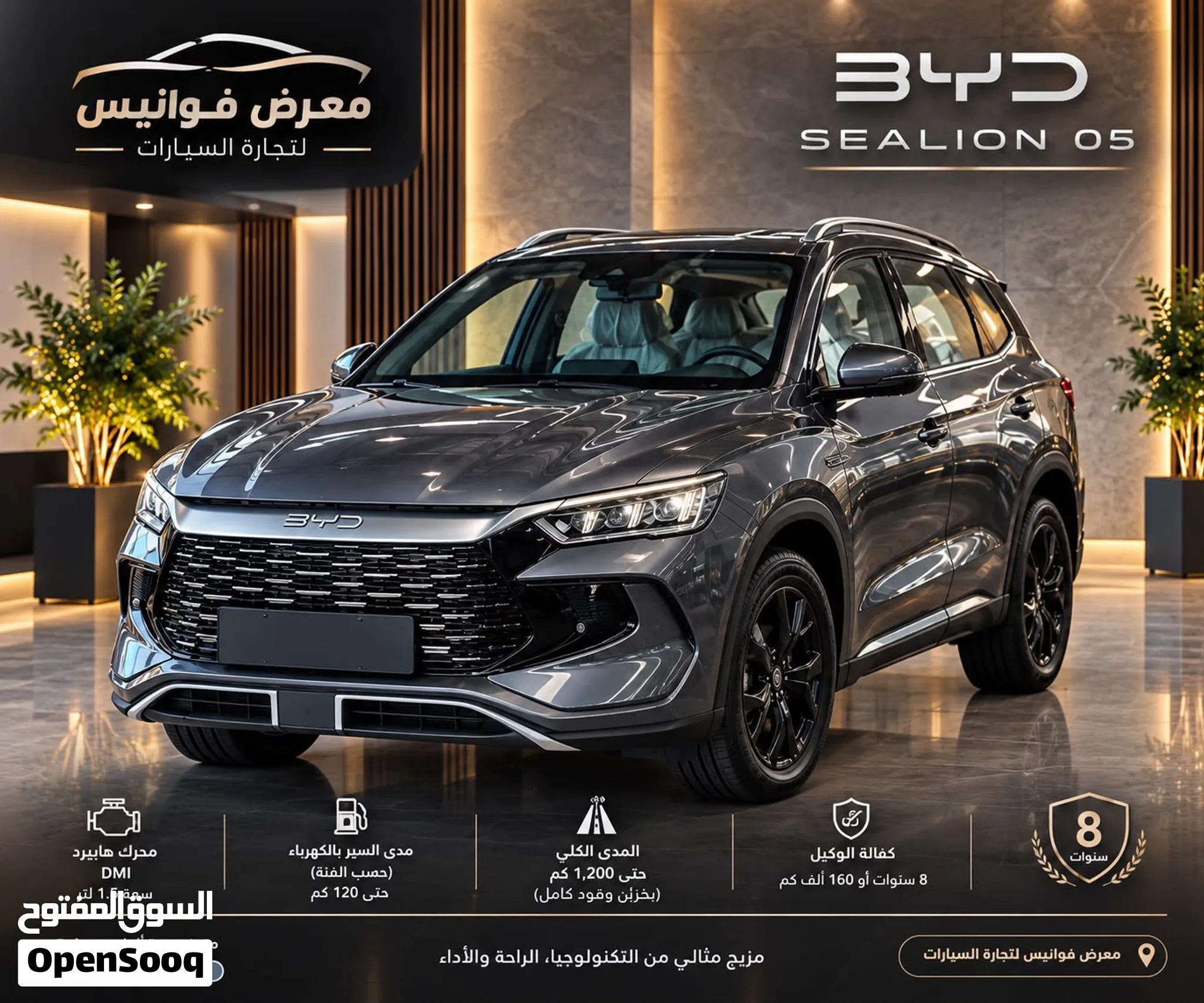 بي واي دي 2026