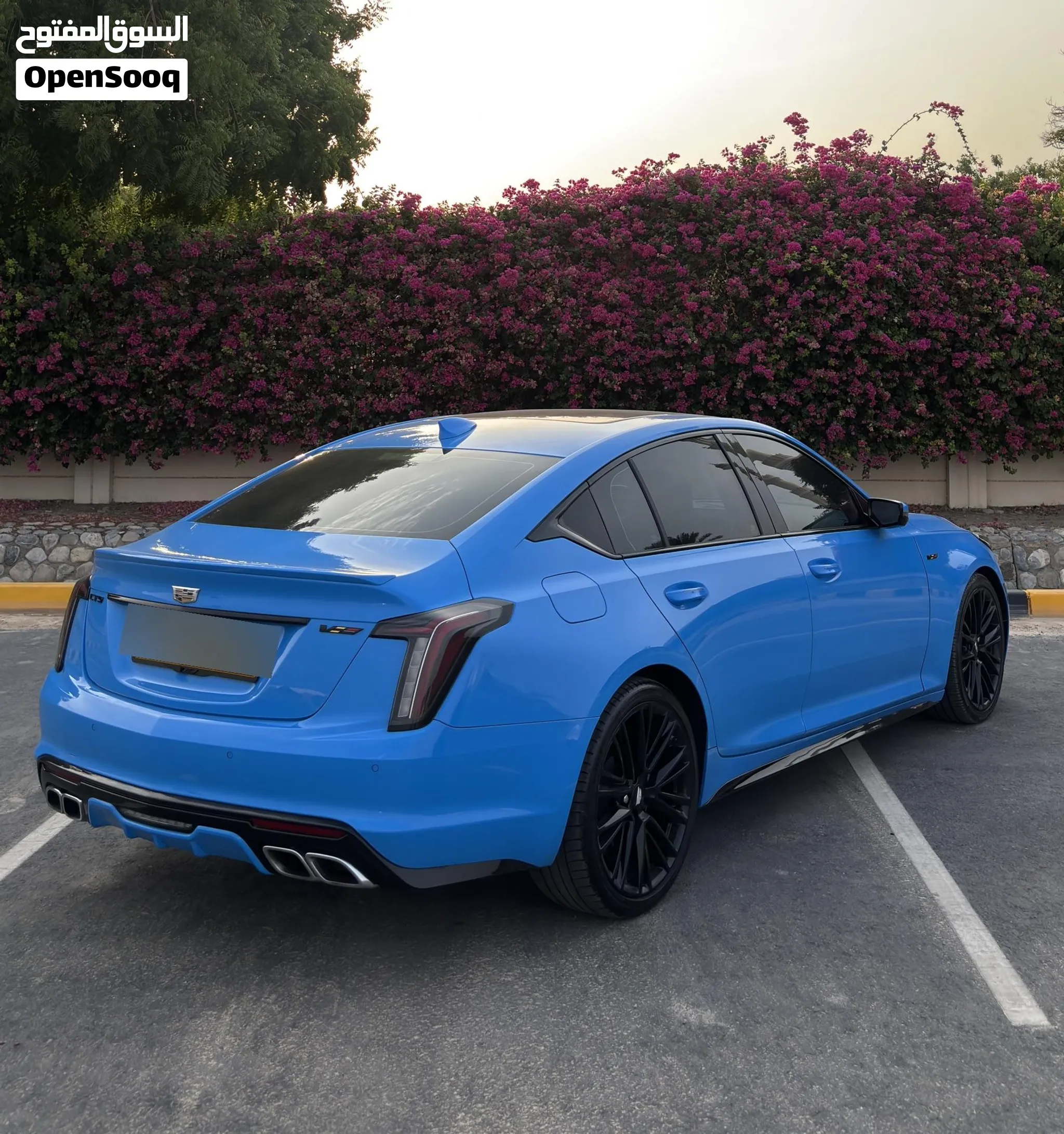 كاديلاك CT5 الفئة "V" أصل بحالة ممتازة للبيع العاجل بسعر تنافسي جدا