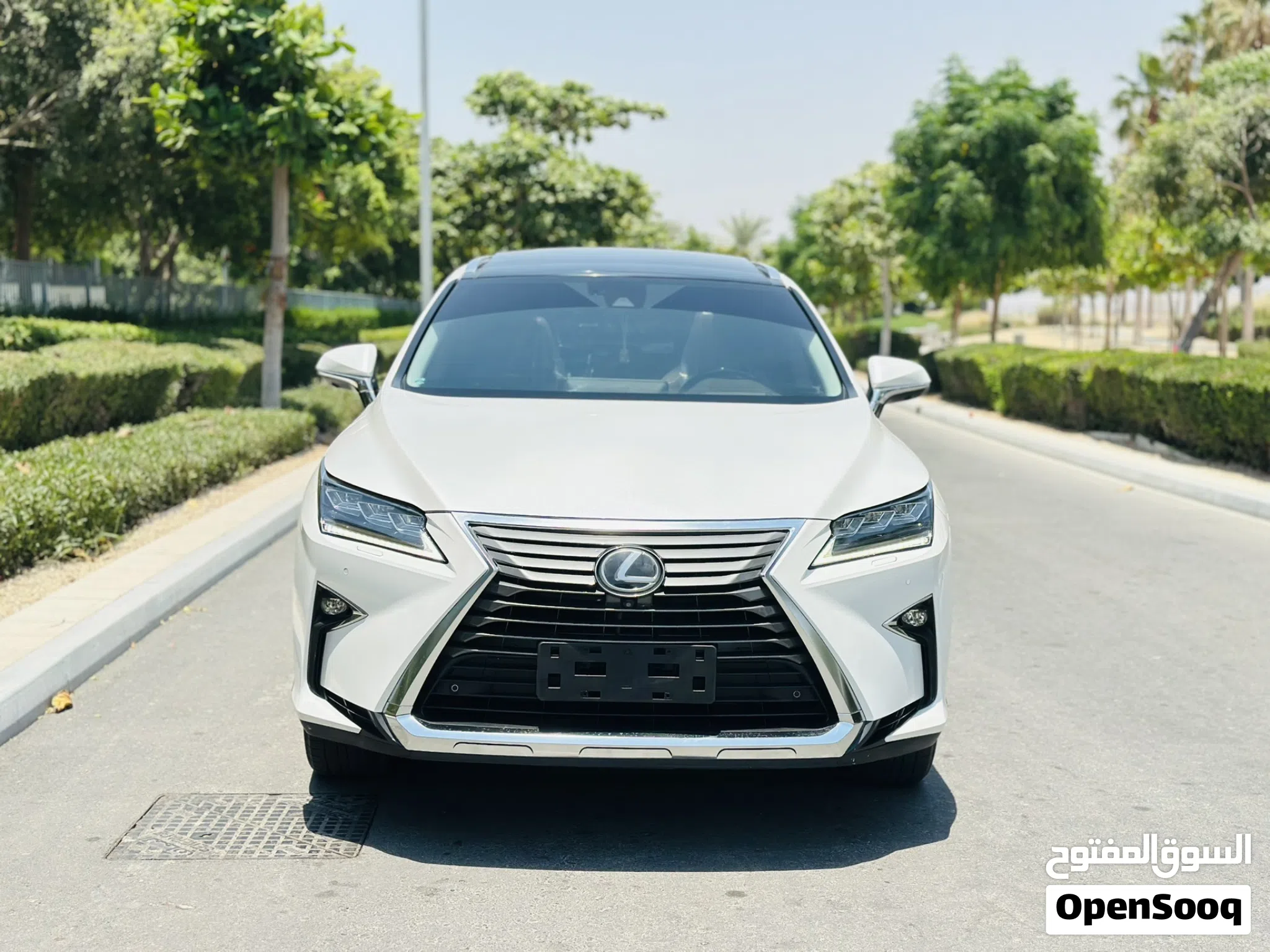Lexus RX 350 GCC model 2018 Full option
