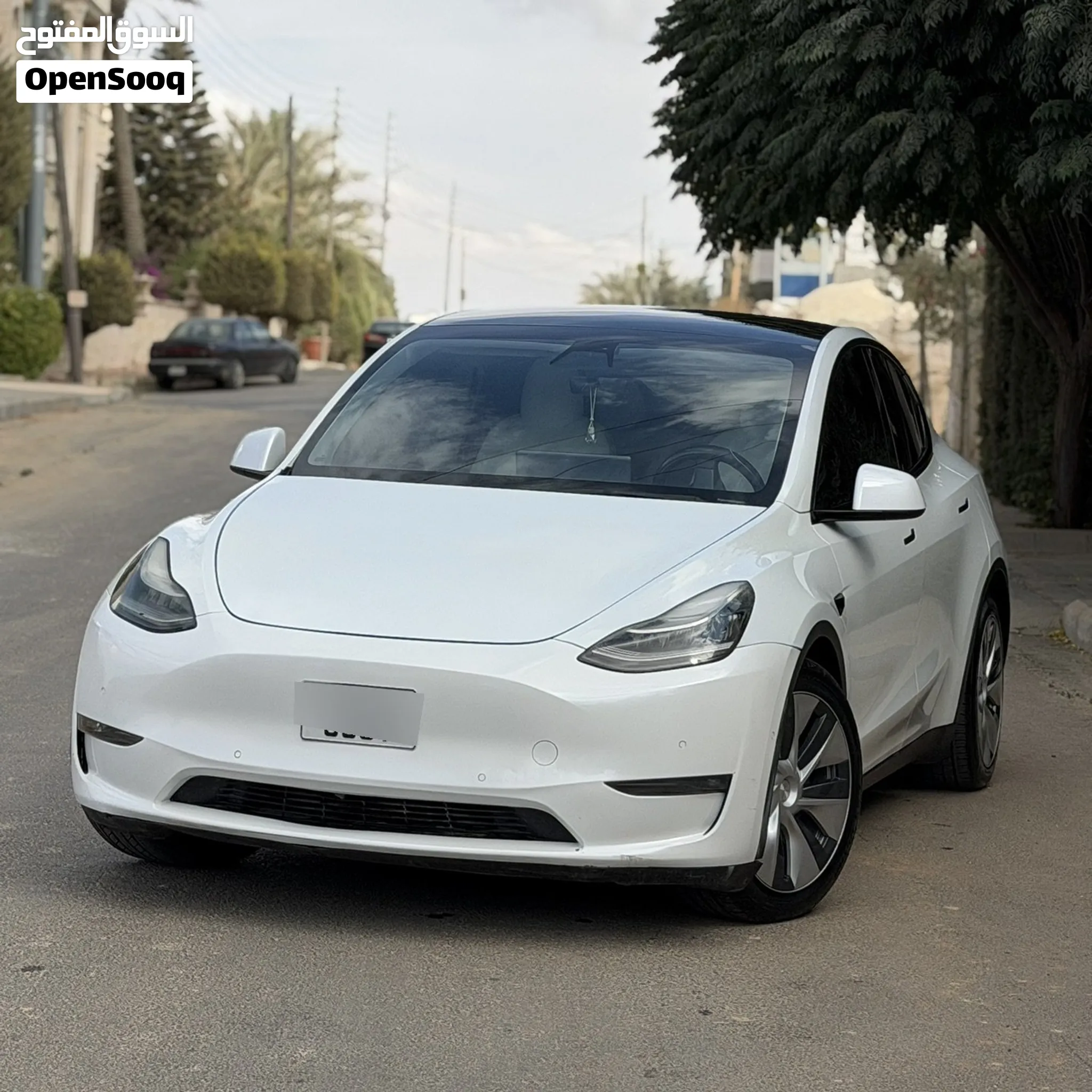 TESLA MODEL Y 2021