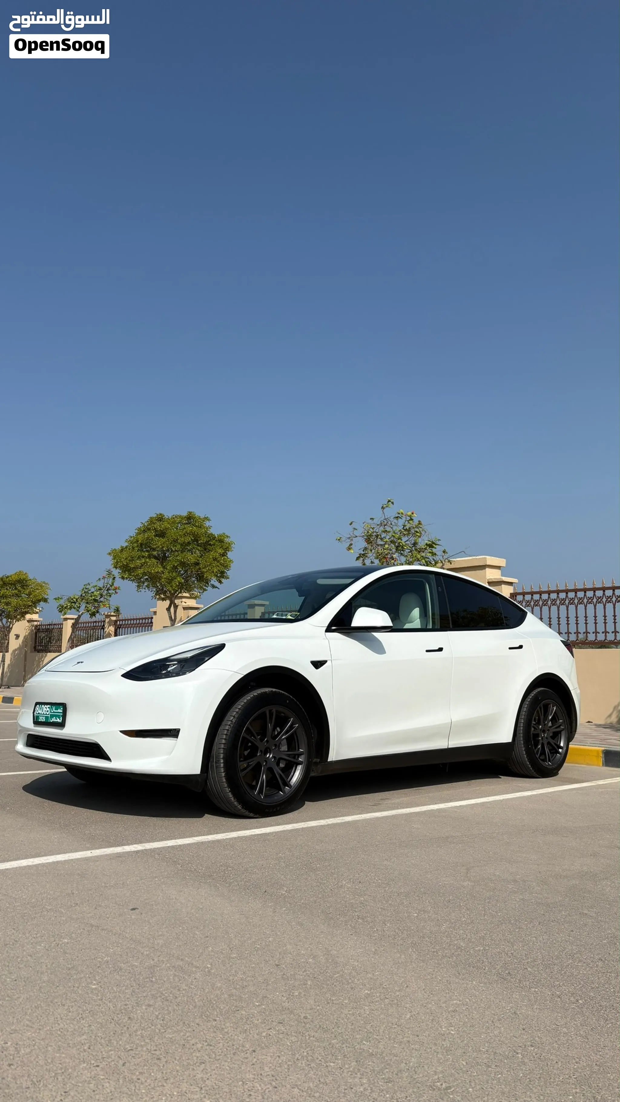 Tesla Y Longe Range (RWD) 2025