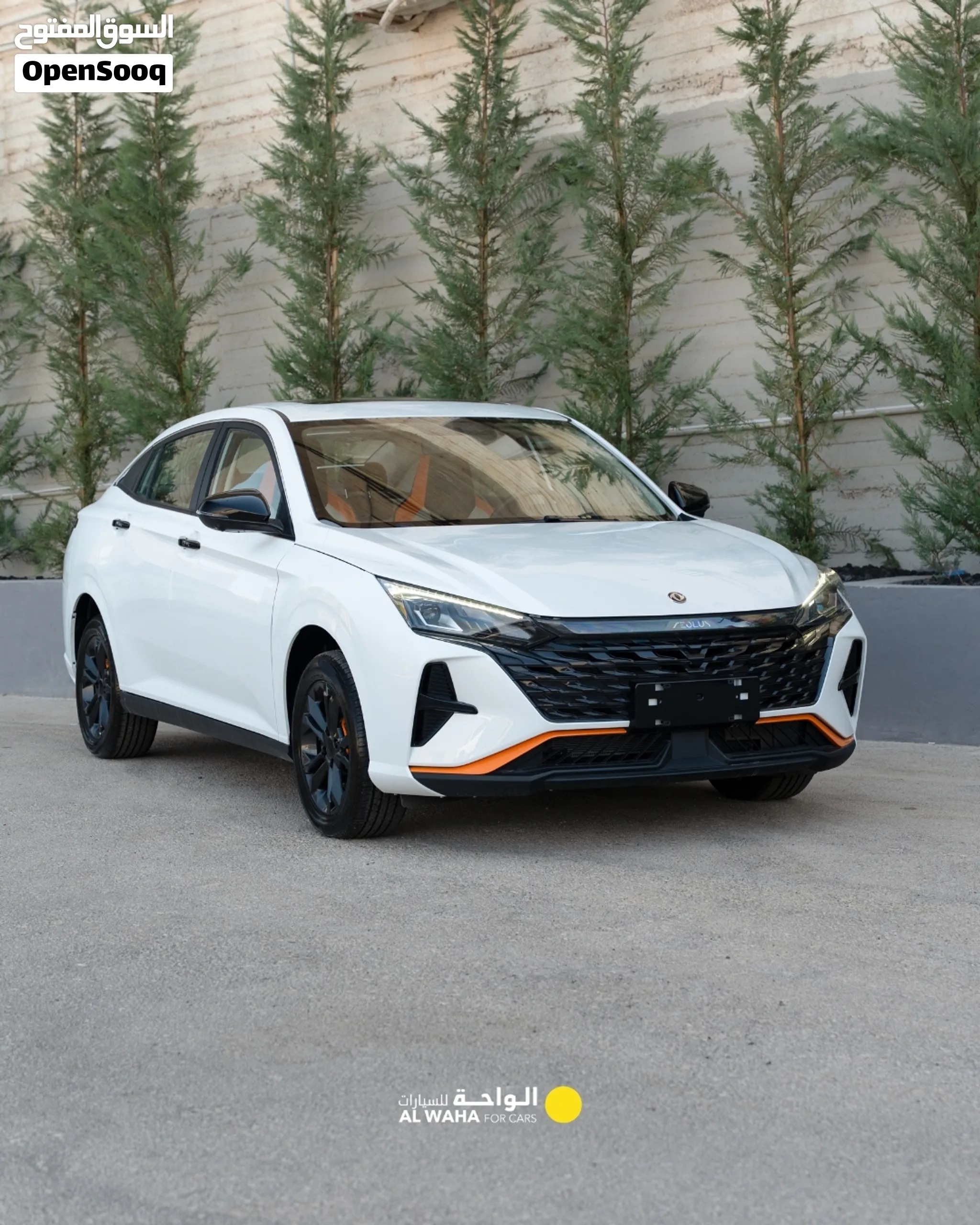 DONGFENG Shine 2026