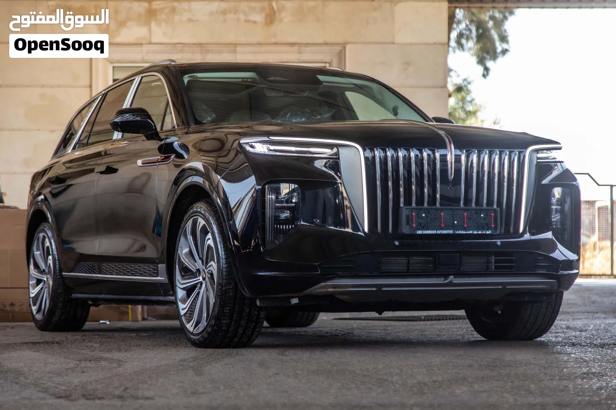 2025-- Hongqi E-HS9