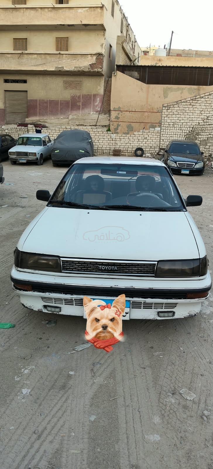 تويوتا كورولا 1991 للبيع الإسكندرية