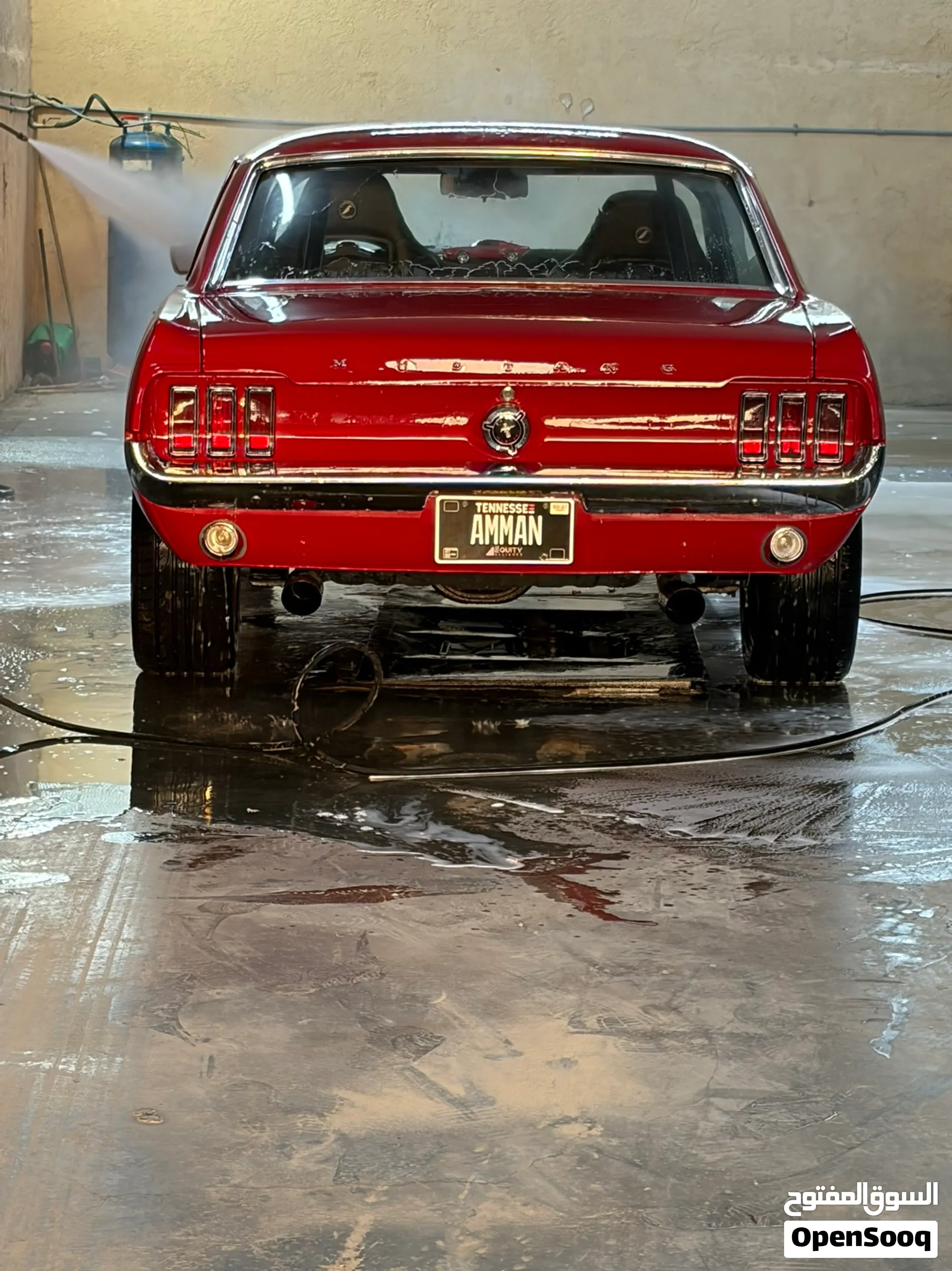 1967 ford mustang in Amman