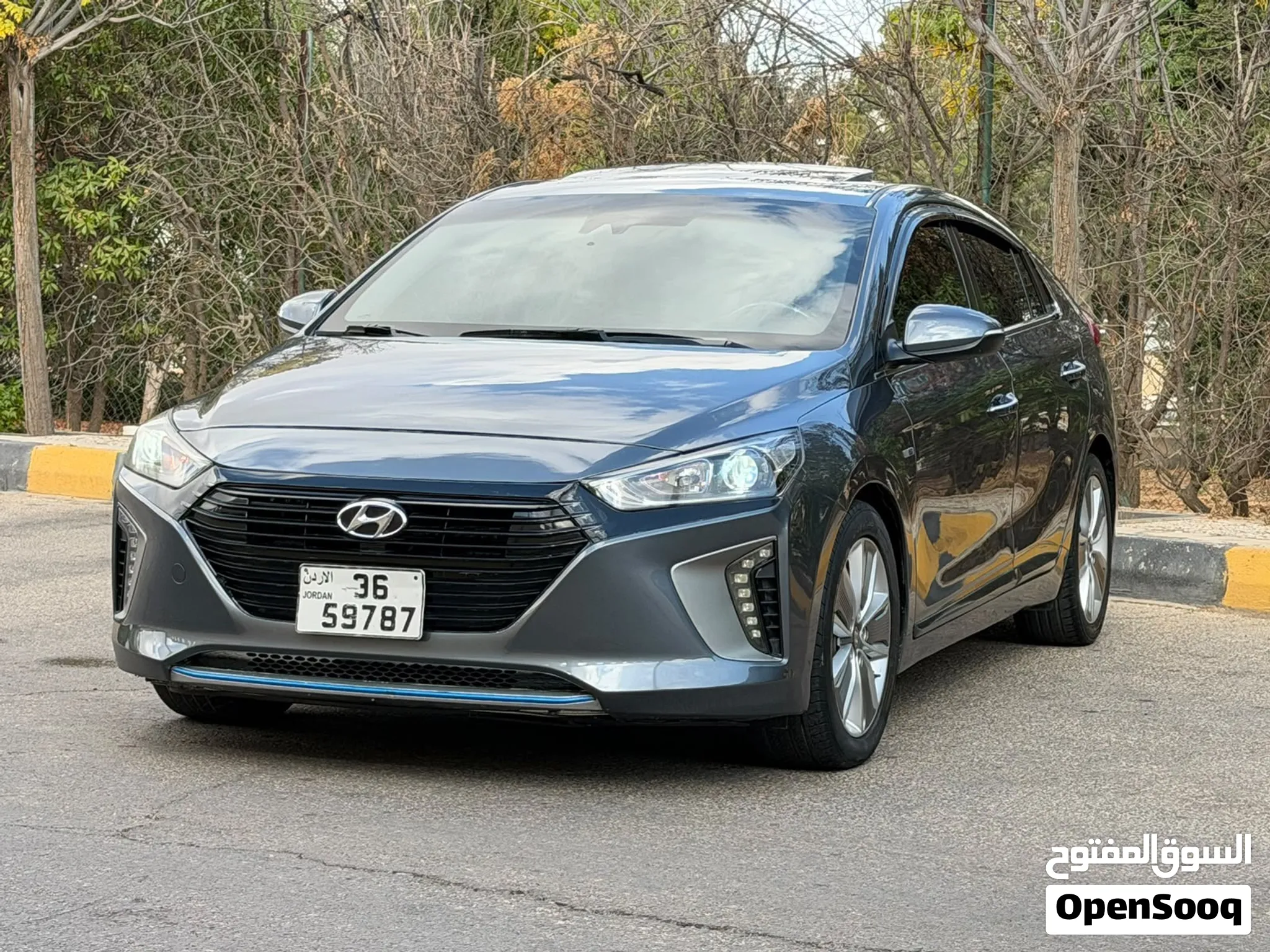 Hyundai Ioniq 2019