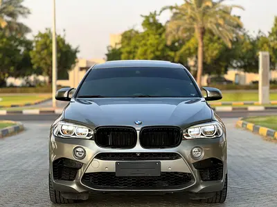 BMW XM 2019