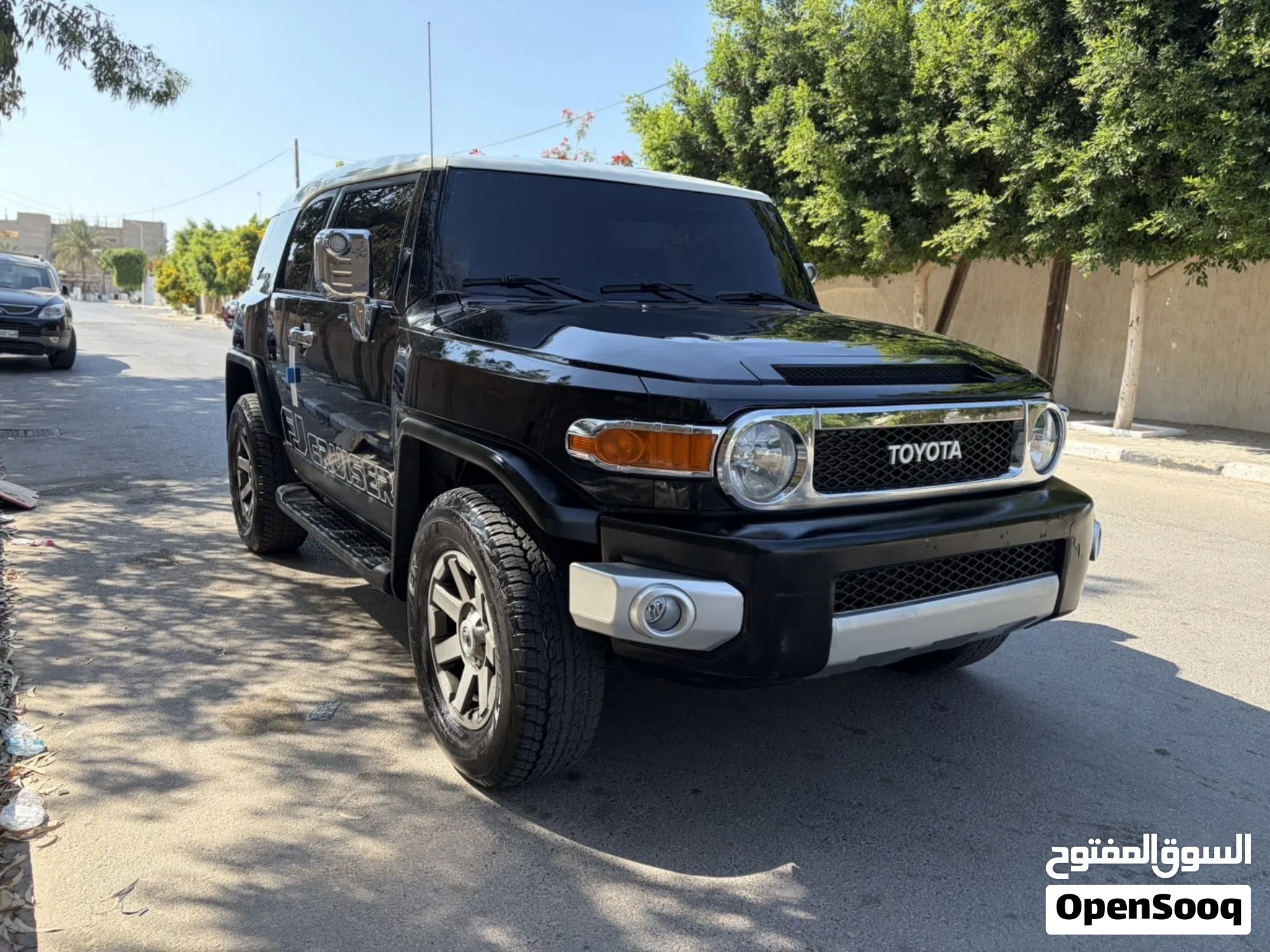 FJ cruiser 2009