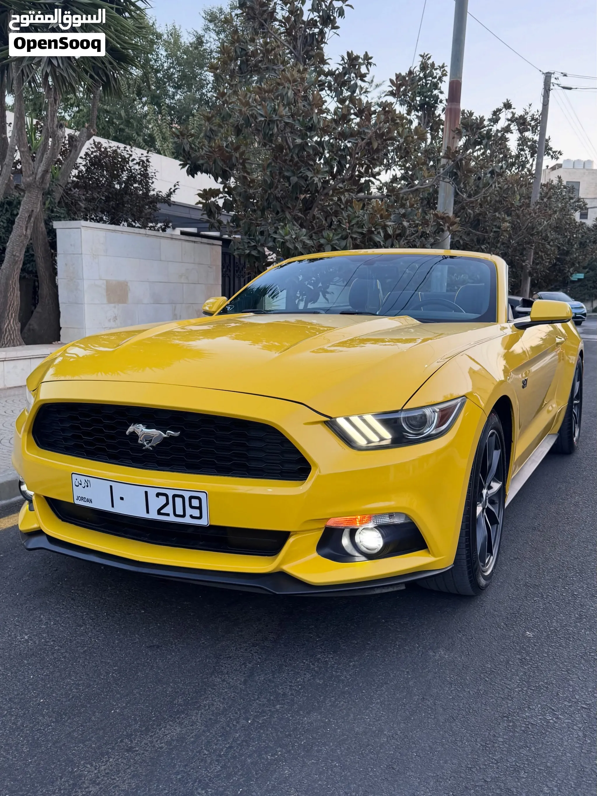 FORD MUSTANG 2015