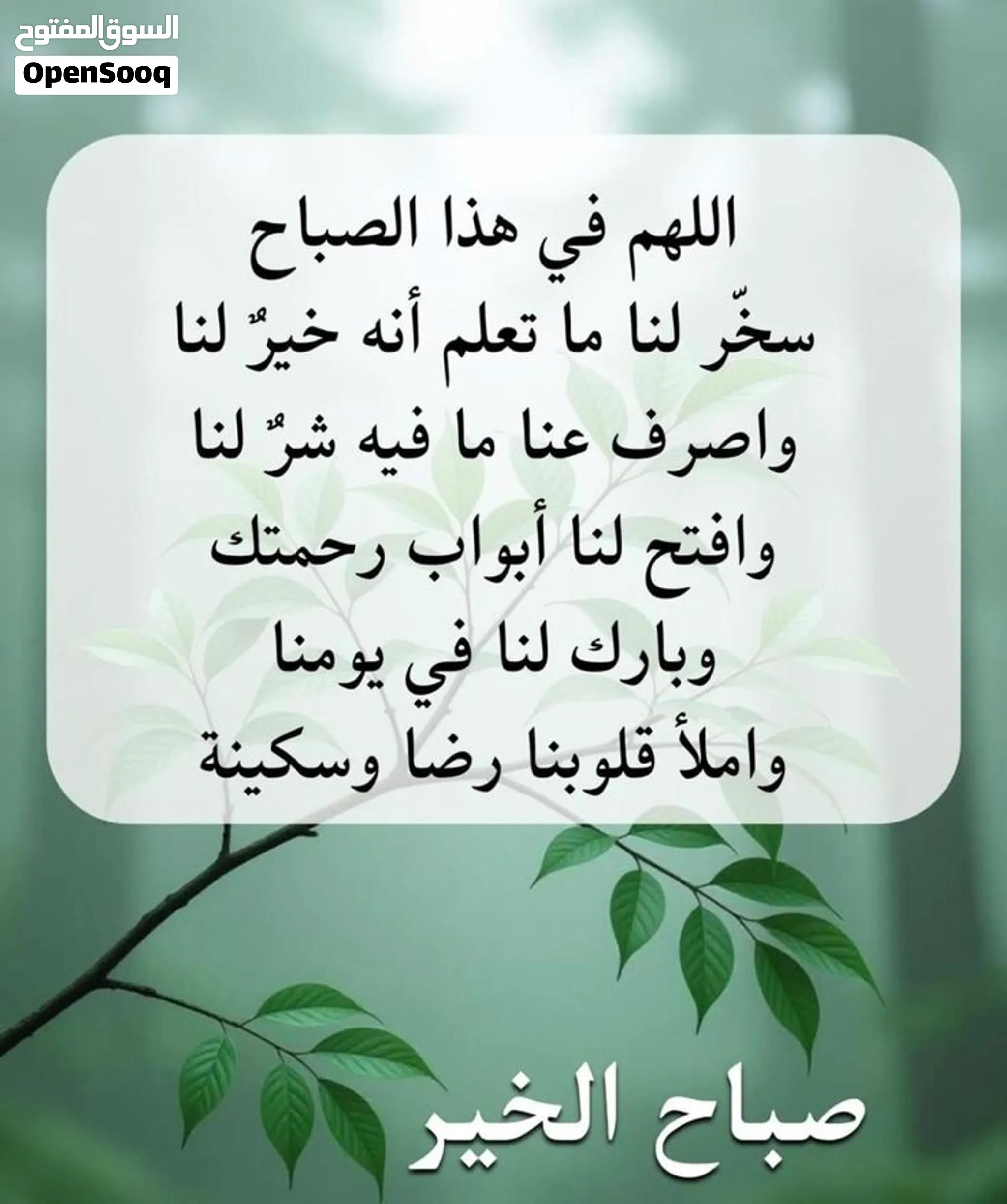 مطلوب سوناتا او سيدونا تكون نظيفه وسعرها معقول