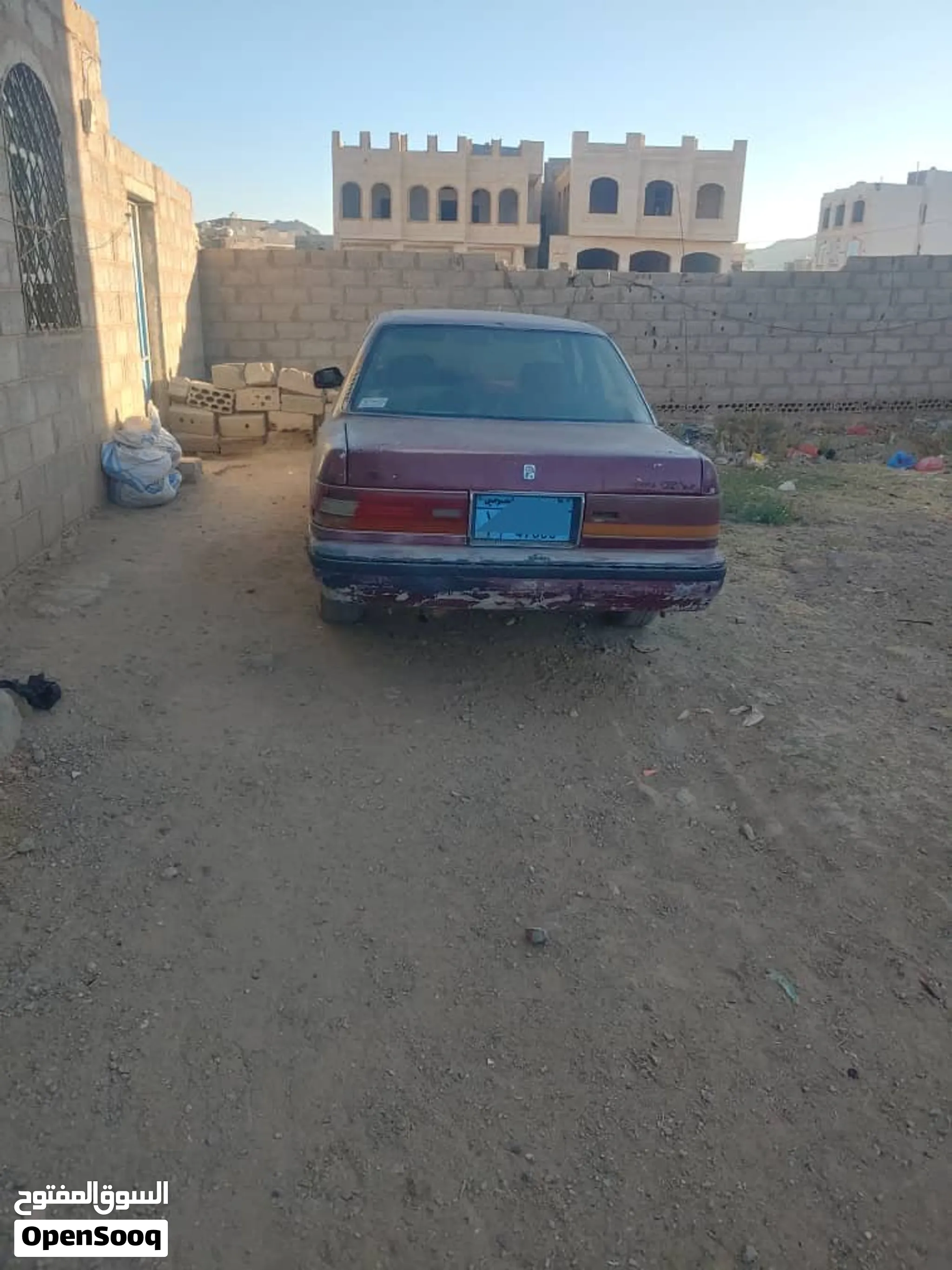 كرسيدا زنجبيل بغباره وسعر الهسوس