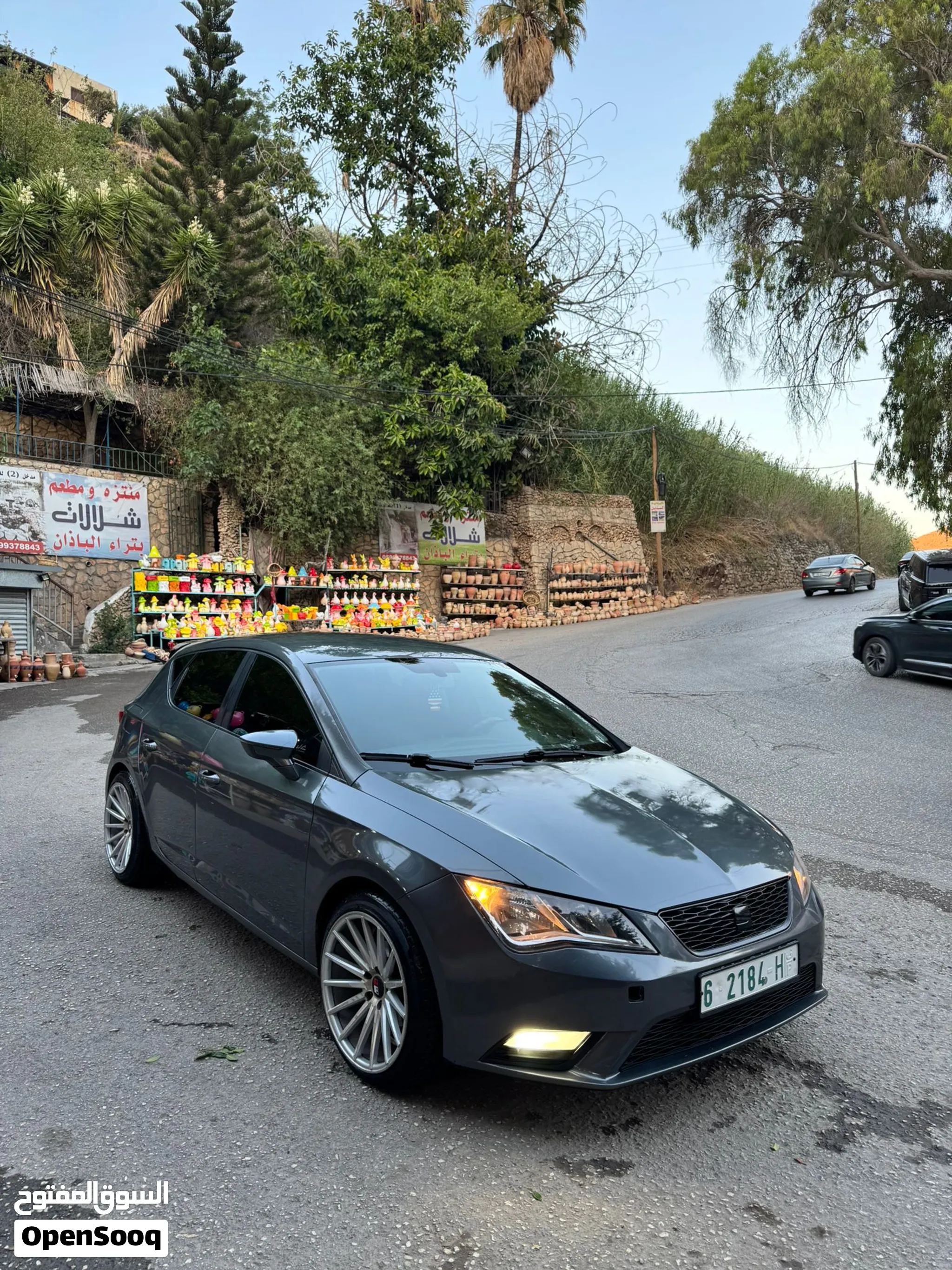 سيات ليون 2015