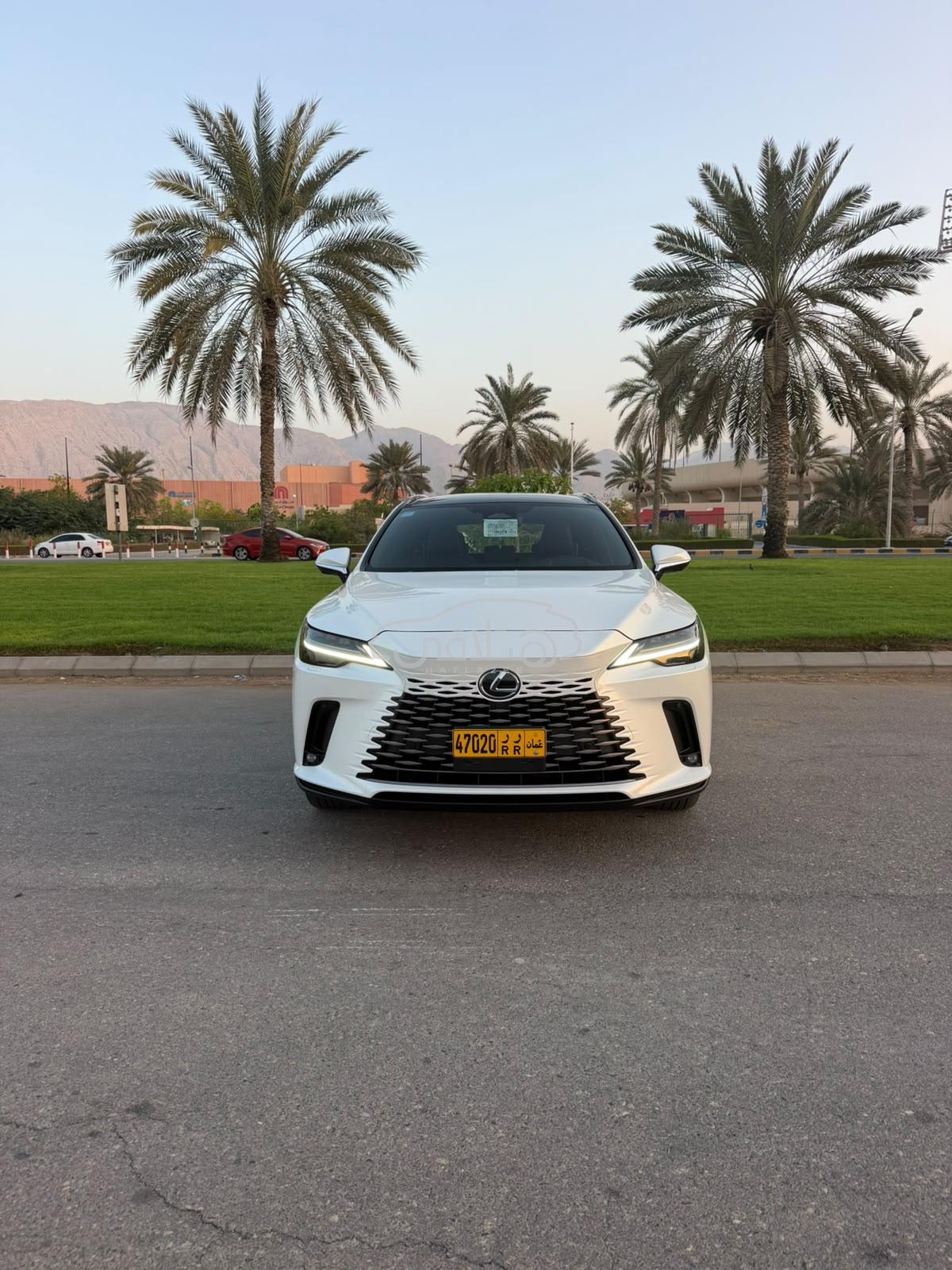 لكزس Rx 2026 للبيع الغبرة