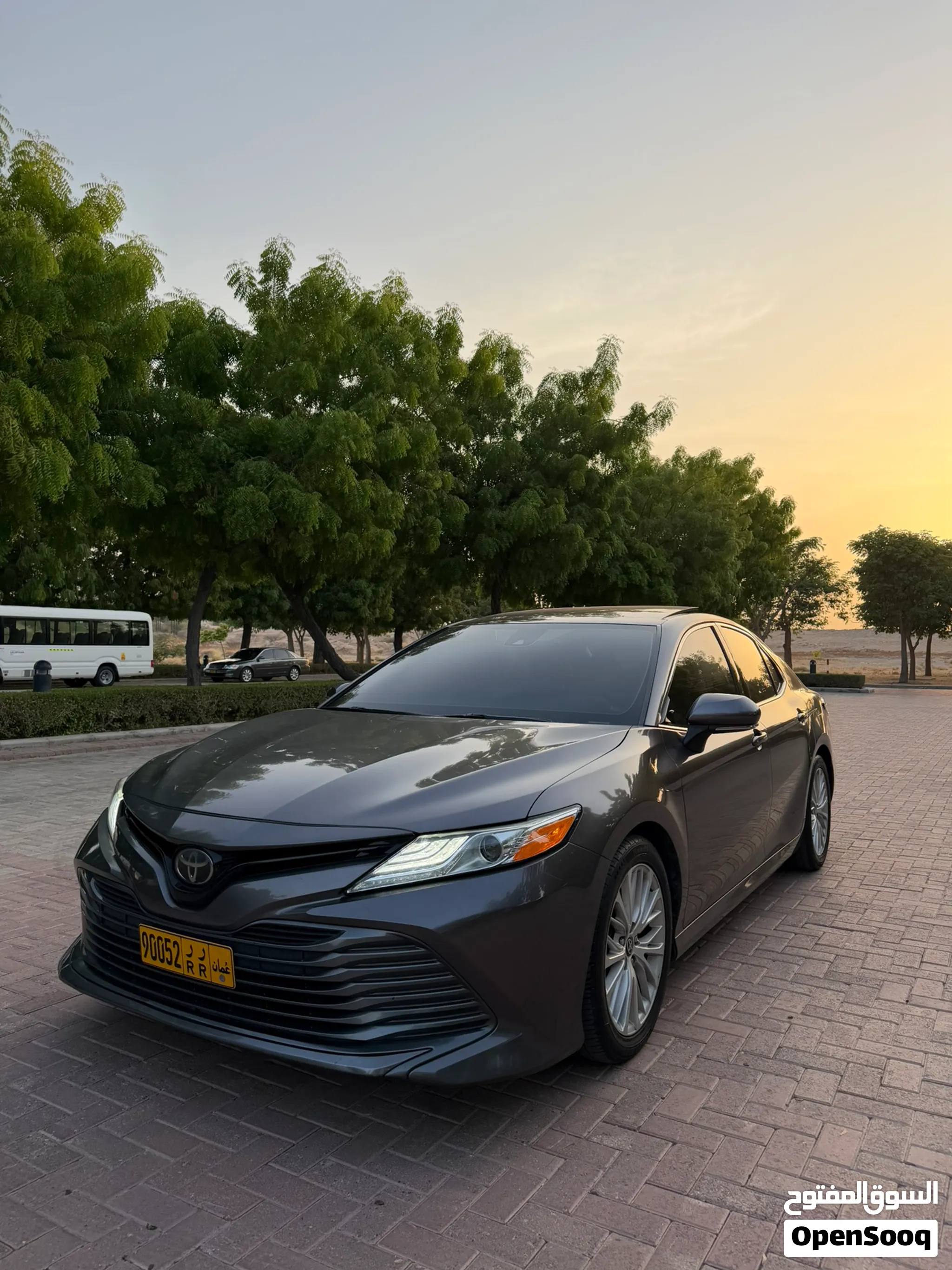 Toyota Camry XLE 2020