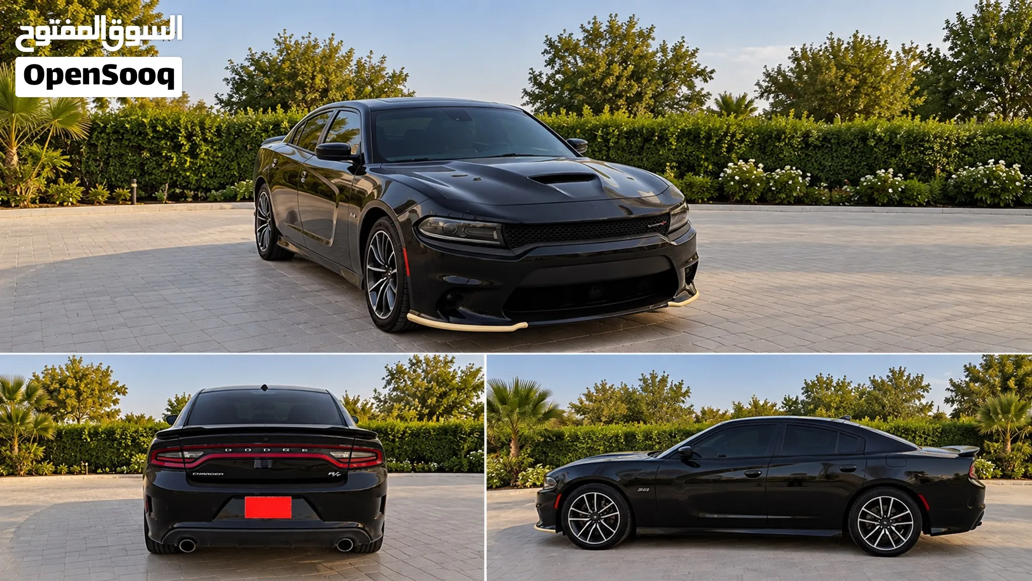 Dodge charger 2023 43000KM
