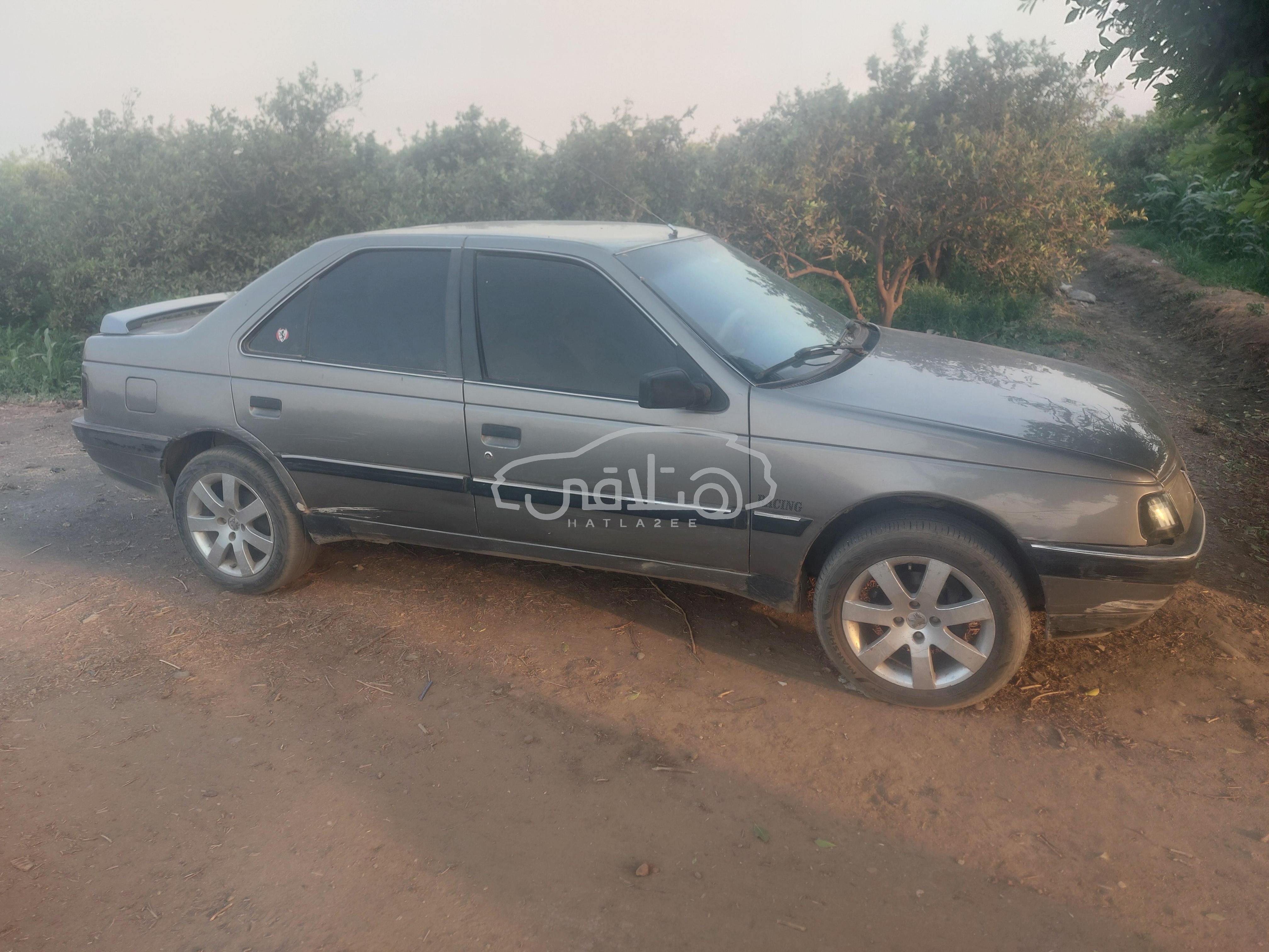بيجو 405 2002 للبيع طوخ