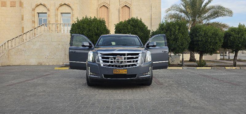 كاديلاك اسكاليد 2016 للبيع بركاء