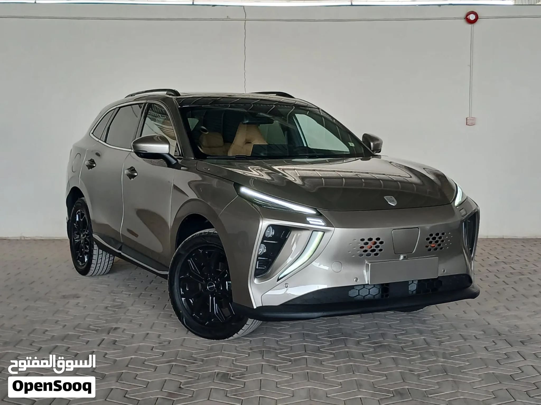 فورثينج فرايداي T5 REEV موديل 2027 جديدة