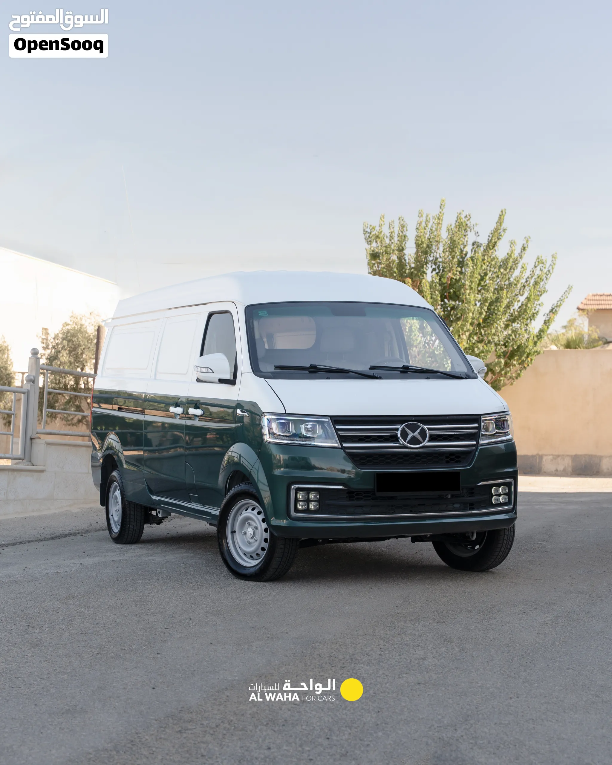 Shinarey X30L EV Cargo