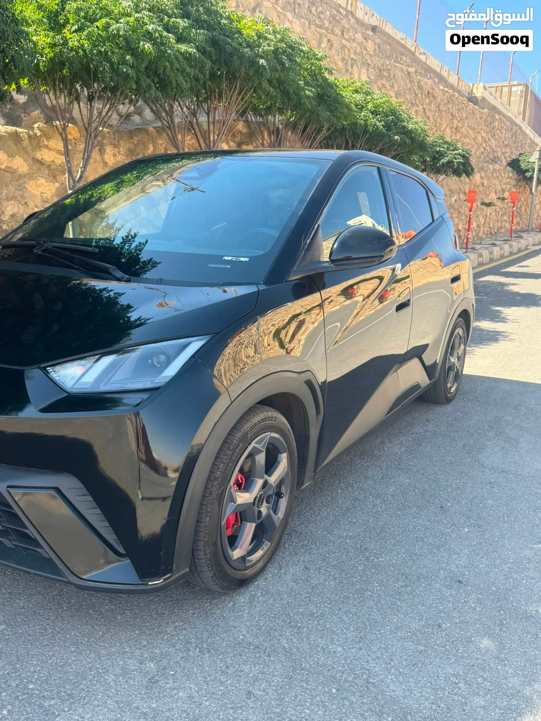 Byd seagull 2024