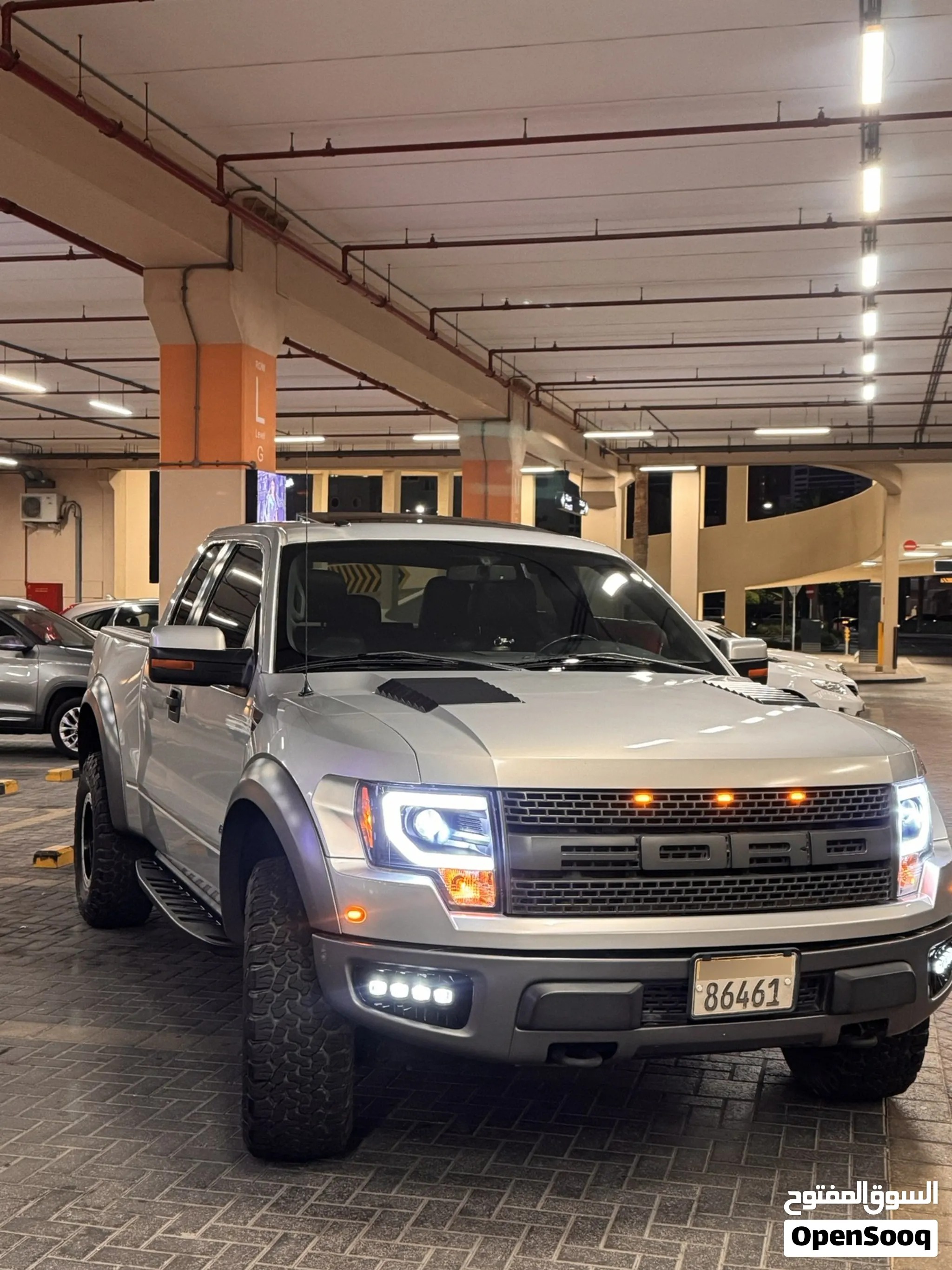 Raptor for sale 2012