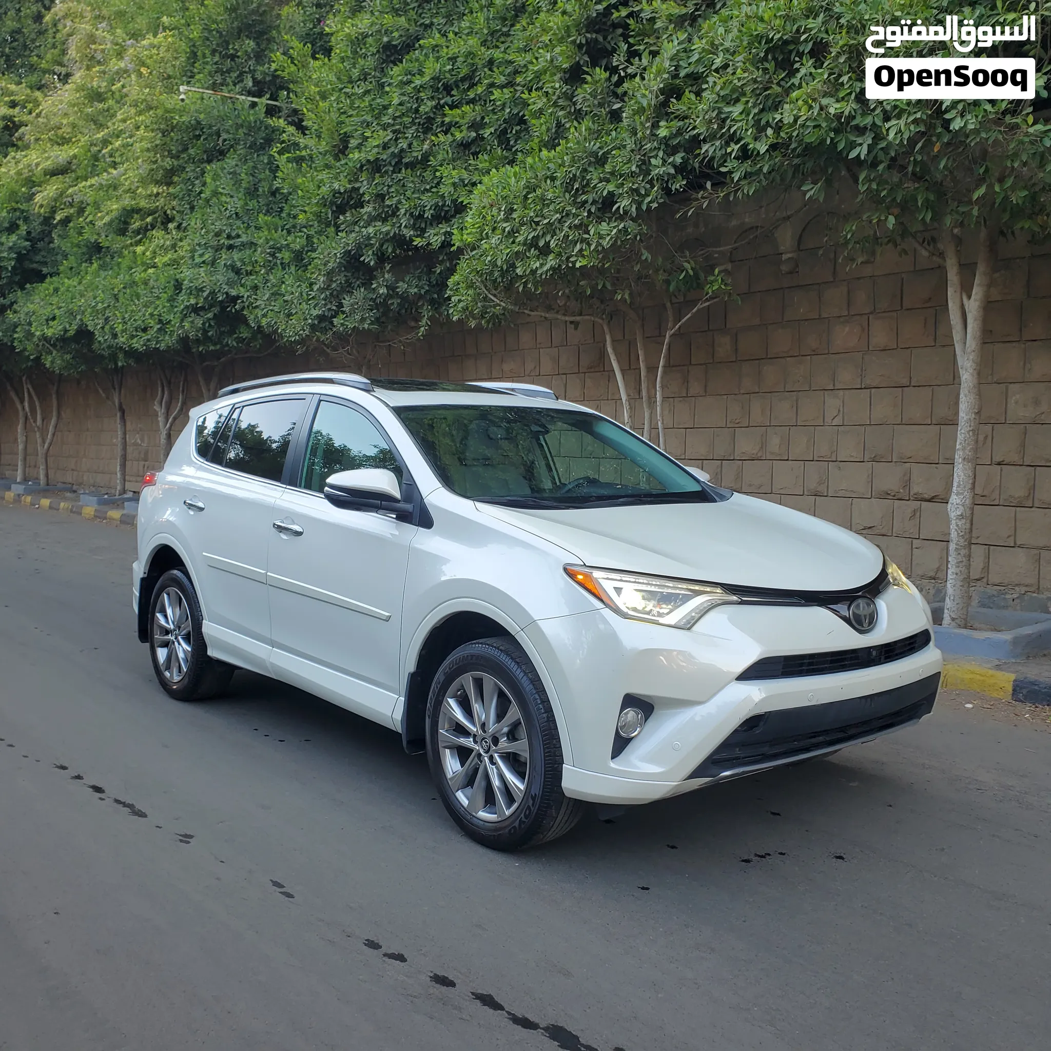 راف فور 2018
