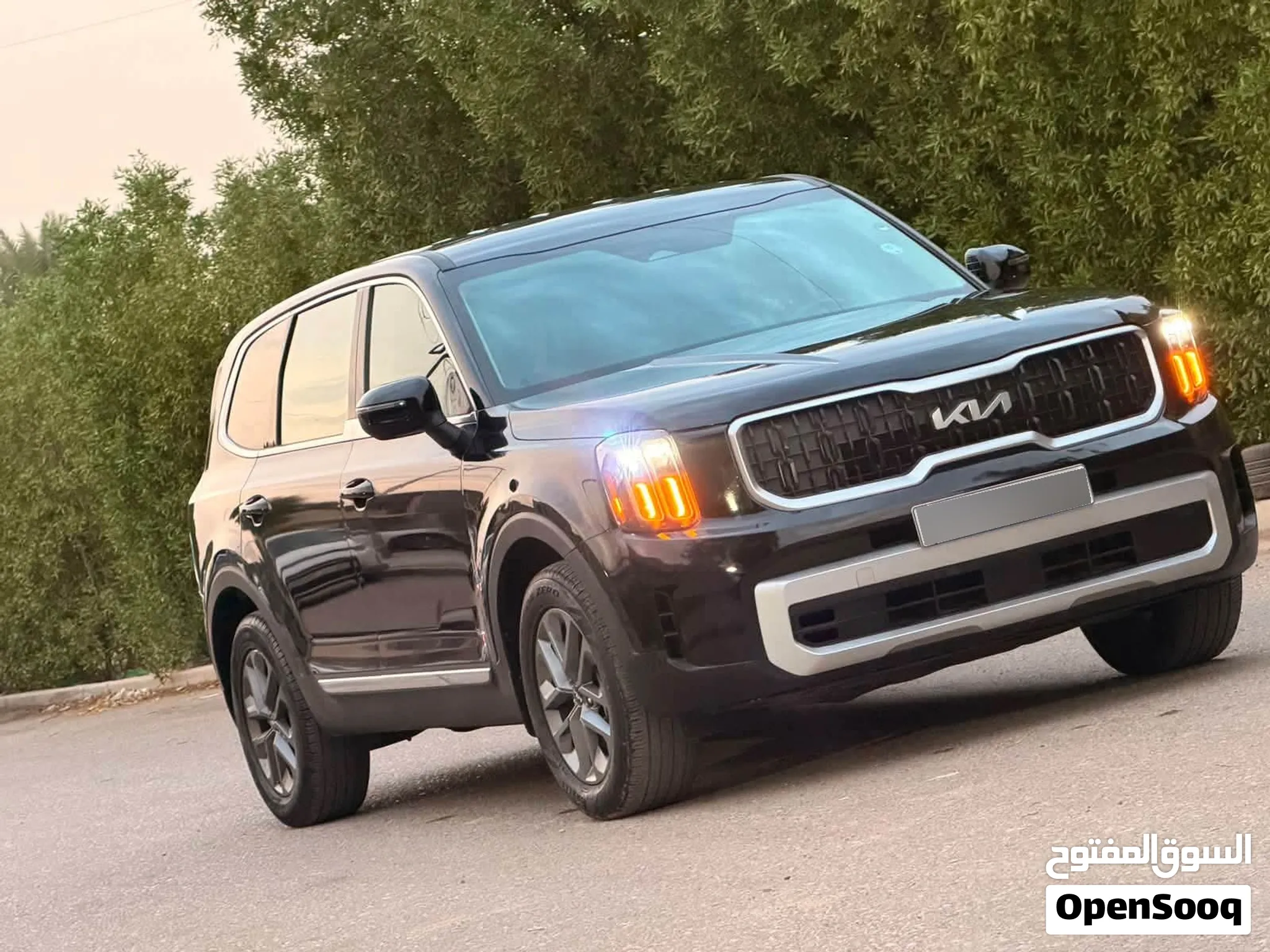 Kia 2024