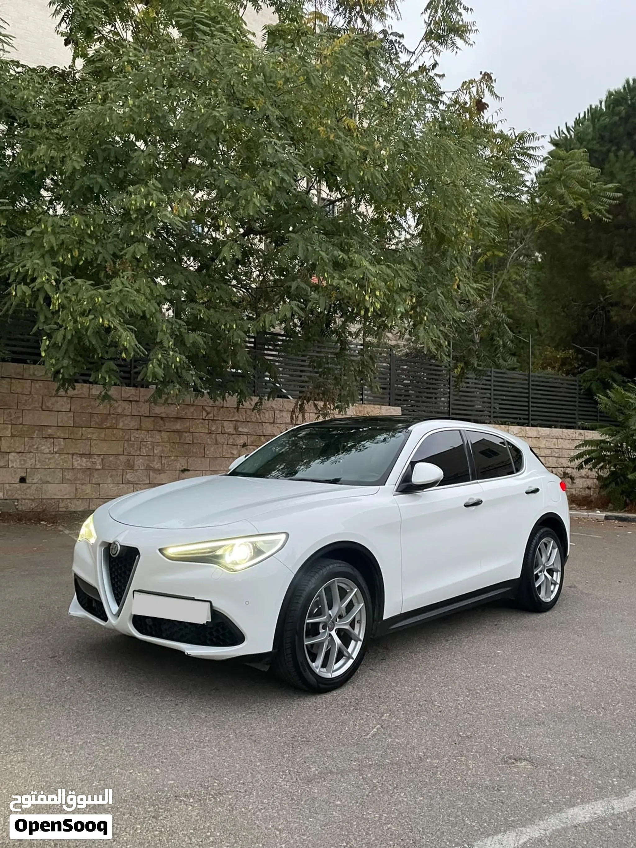 Alfa Romeo 2019