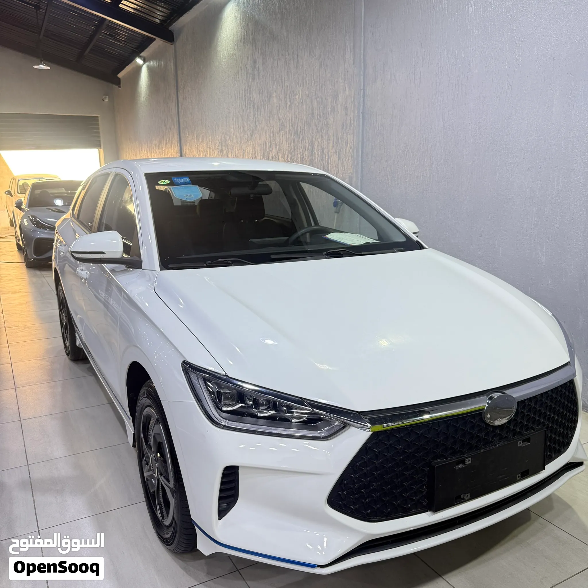 BYD E2 2020