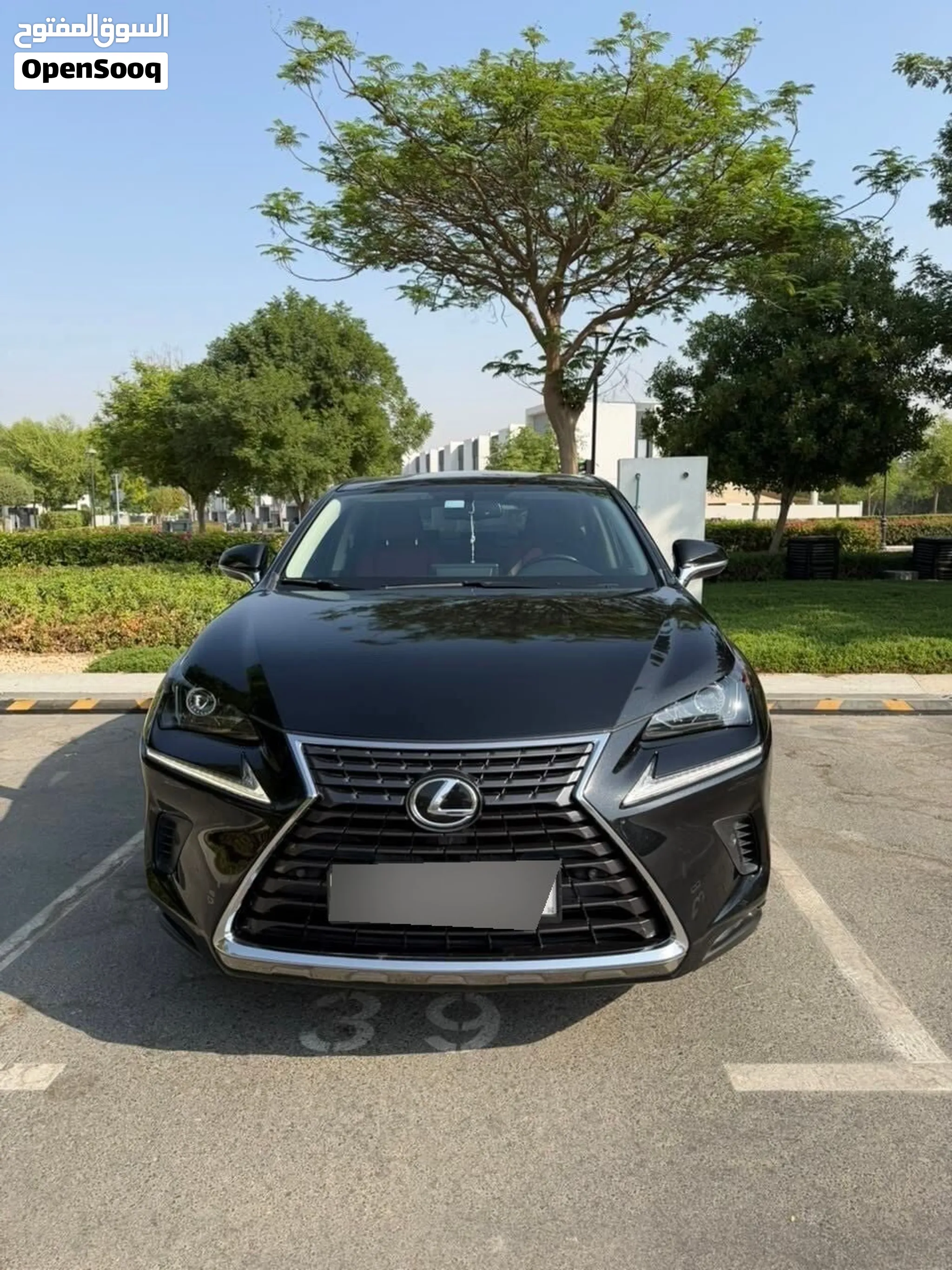 Lexus Nx 2019