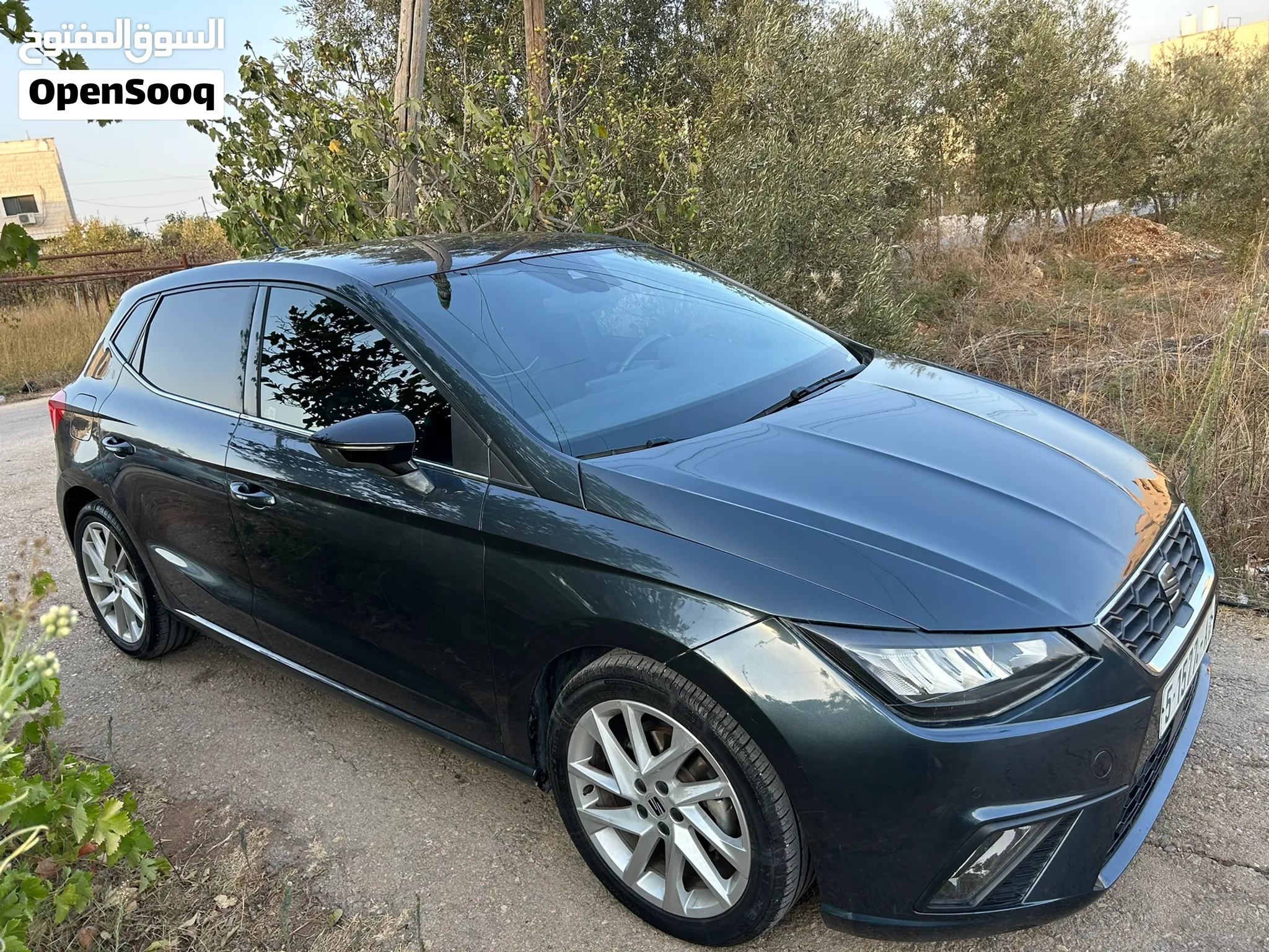 سيات ابيزا اف ار 2025