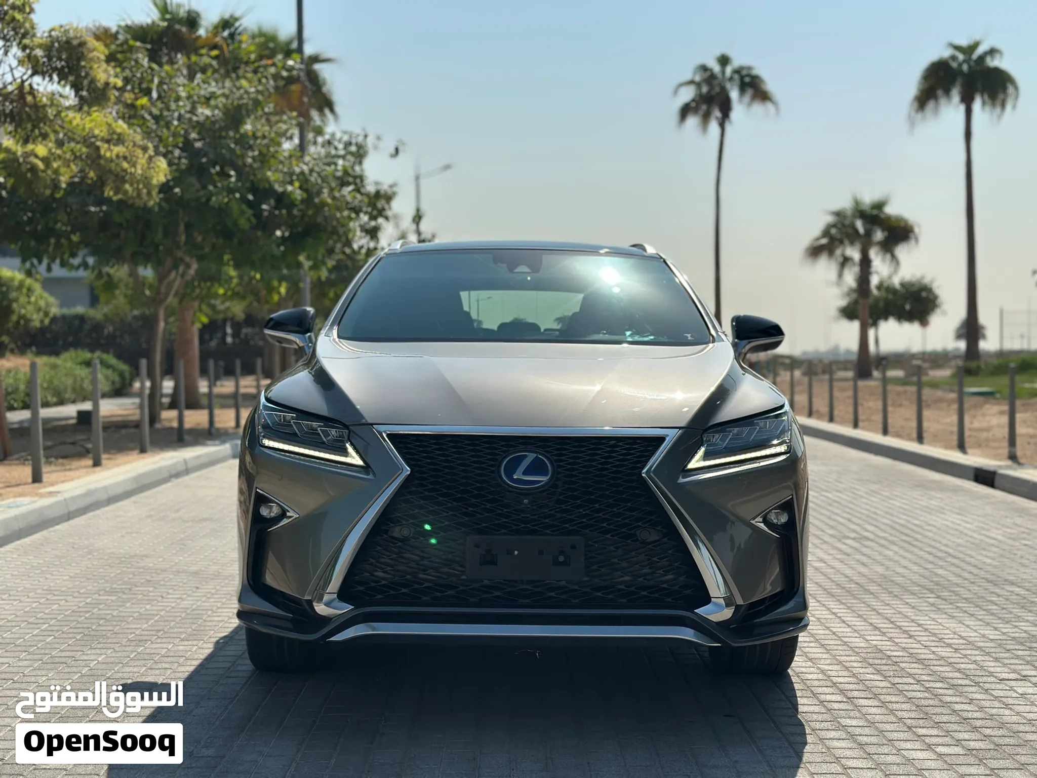 Lexus RX 450h F-Sport GCC model 2018 Full option