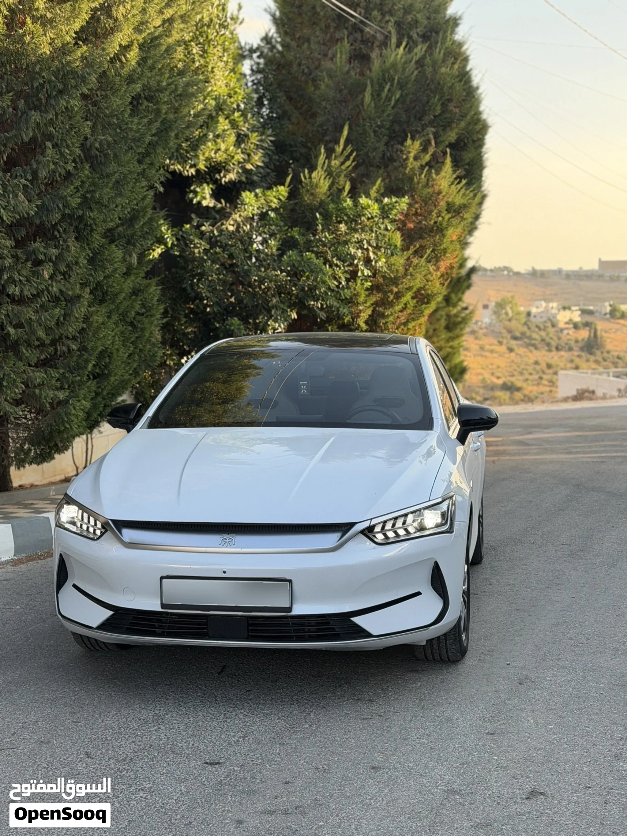وارد الشركه Byd qin plus شين بلس 2024