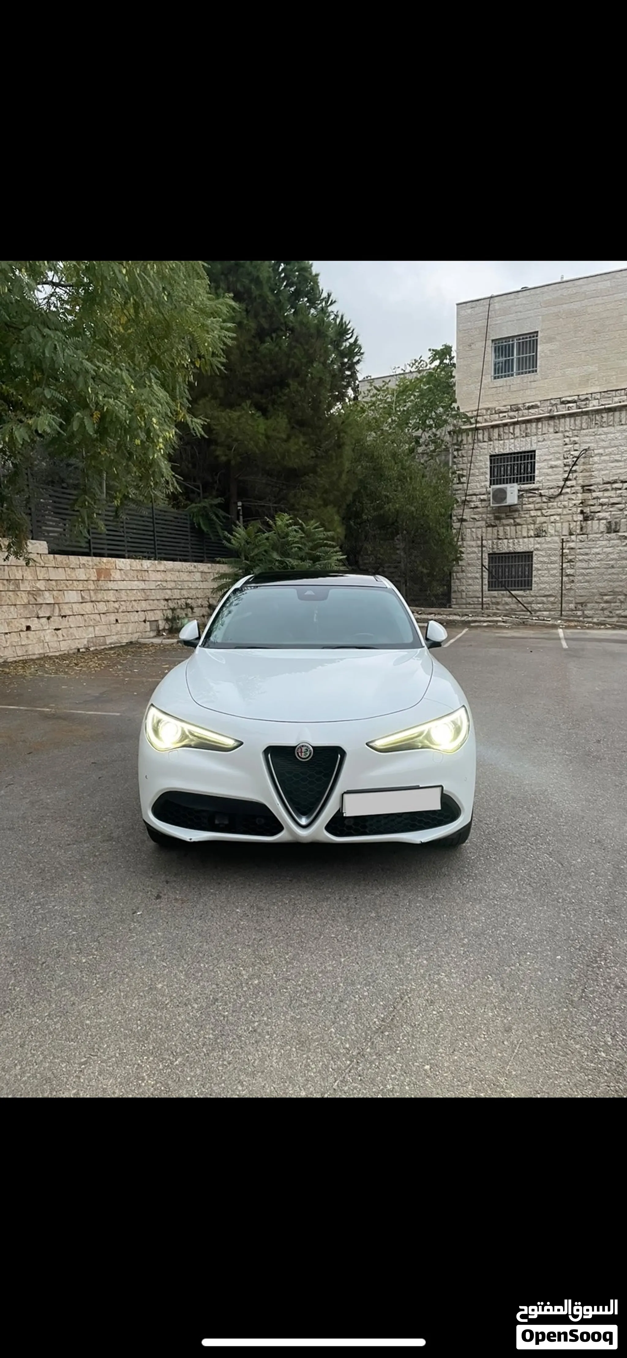 Alfa Romeo 2019